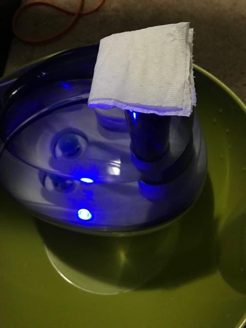 Pure Enrichment PureBaby Ultrasonic Cool Mist Humidifier & Soft Glow Night Light, Whisper-Quiet and Ideal for Baby Nurseries & Kids Bedrooms to Relieve Congestion, Colds, & Coughs (Whisper Green) customer photo 1