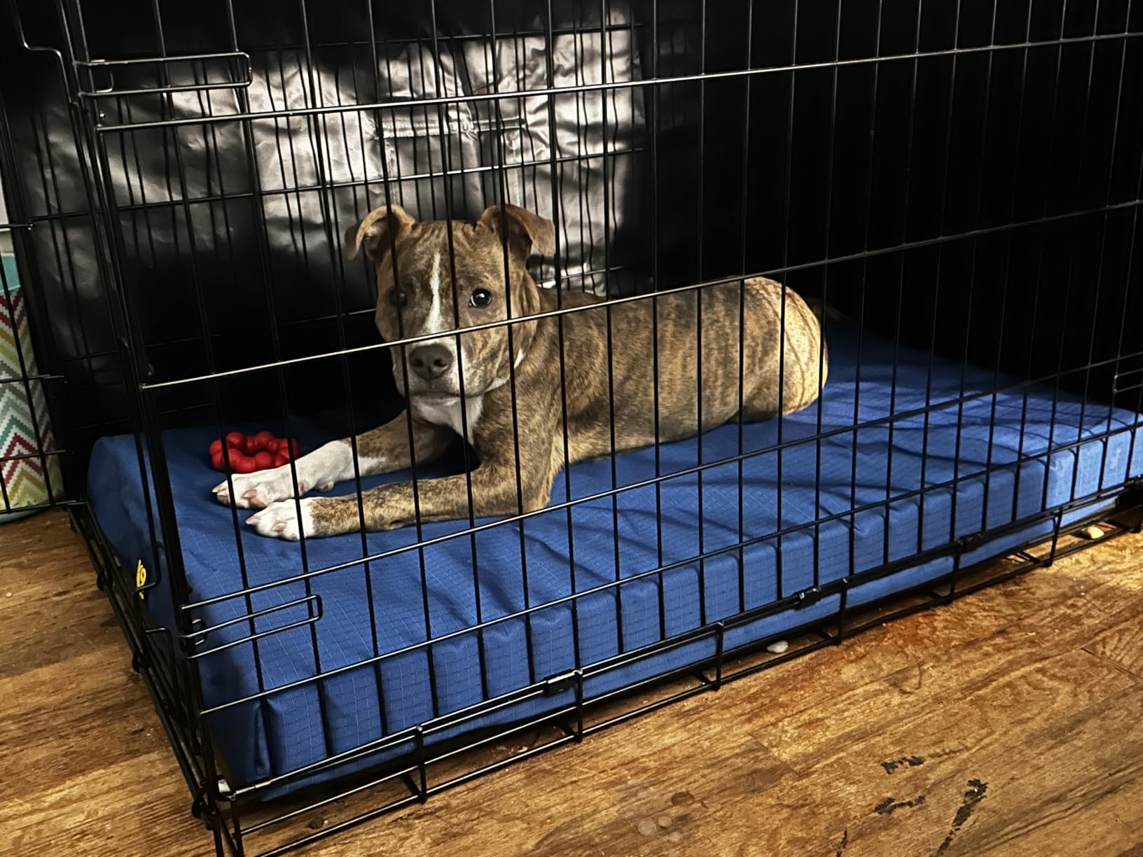 K9 Ballistics Tough Ripstop Orthopedic Crate Bed, 35 x 22, Blue Quartz | Durable Kennel Pad with Washable Cover for Puppies & Medium Dogs, Fits 36