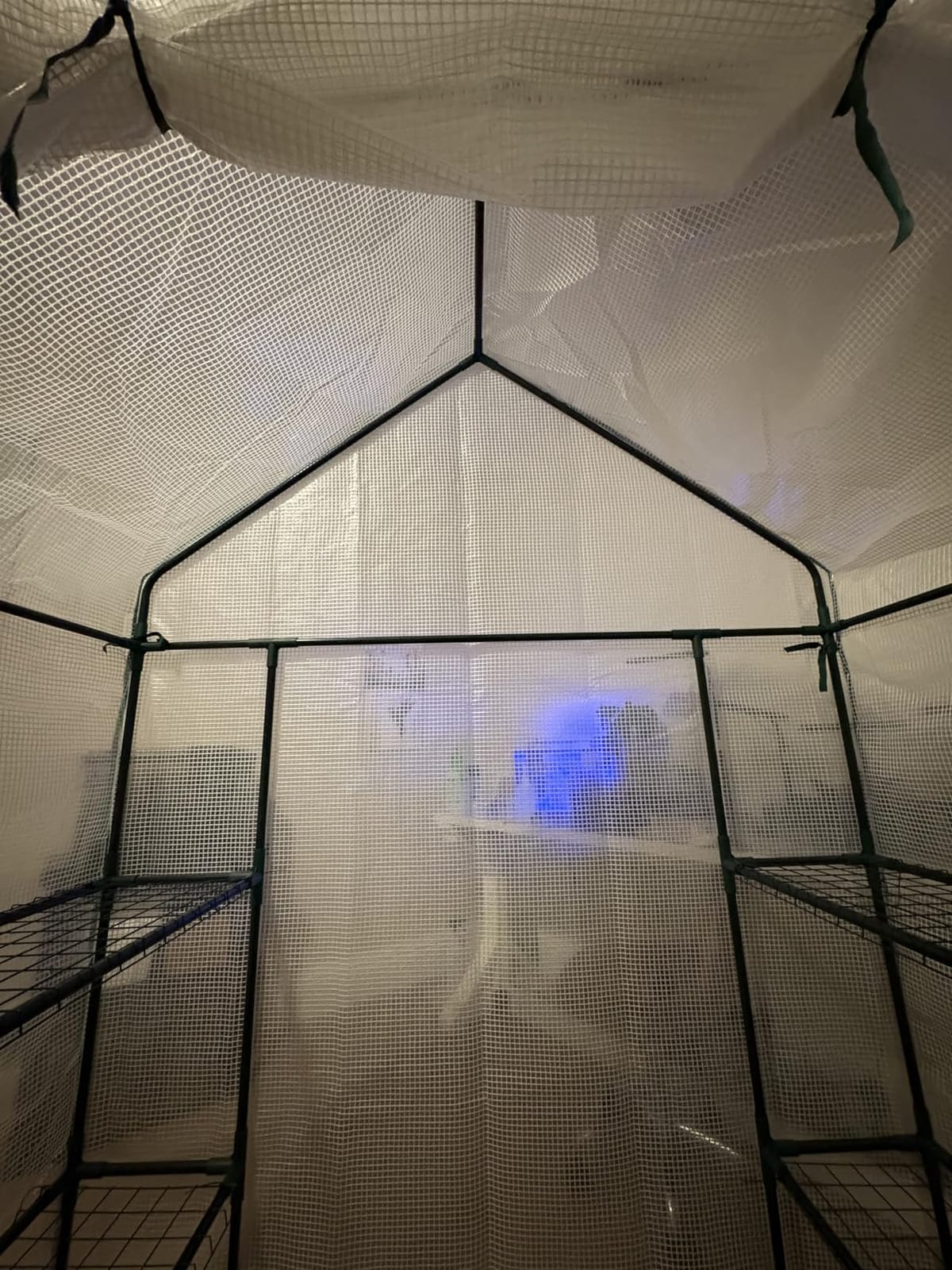 56x56x78 Large Walk-in Greenhouse for Outdoors, Plant House with Shelves | White PE Cover, Eight Shelf Panels with Four on Each Side, 2 Mesh Windows, Roll-Up Door, Steel Frame, Anchors and Ropes customer photo 2