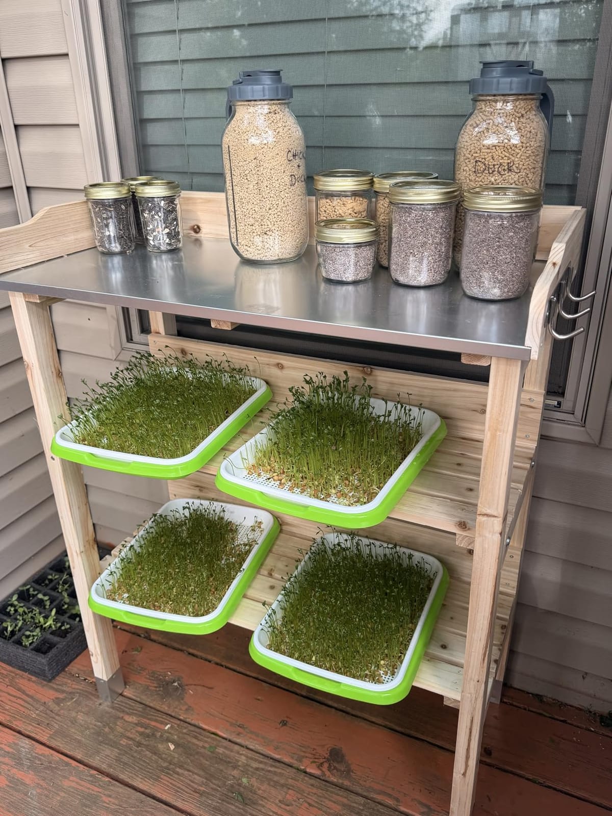 Legigo 10 Pack Seed Sprouter Trays- Soil-Free Cultivation Germination Tray, BPA Free Nursery Tray with Planting Paper for Indoors or Outdoors Sprouting Seeds, Grow Grass, Beans (Without Lids) customer photo 2