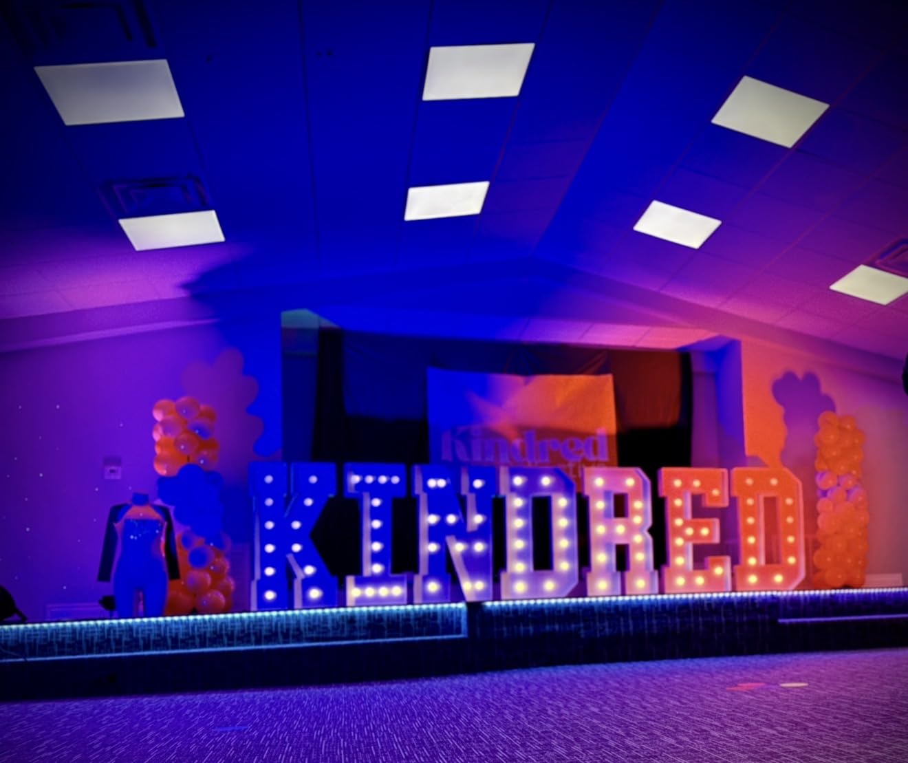 SHEHDS LED Stage Par Lights LED 18X18W DJ Stage Lights 1 Pack | RGBWA+UV 6in1, Wash/Strobe Effect, DMX512 Control, Sound Activated, Aluminum Alloy Shell, Uplighting for Concerts Party customer photo 2