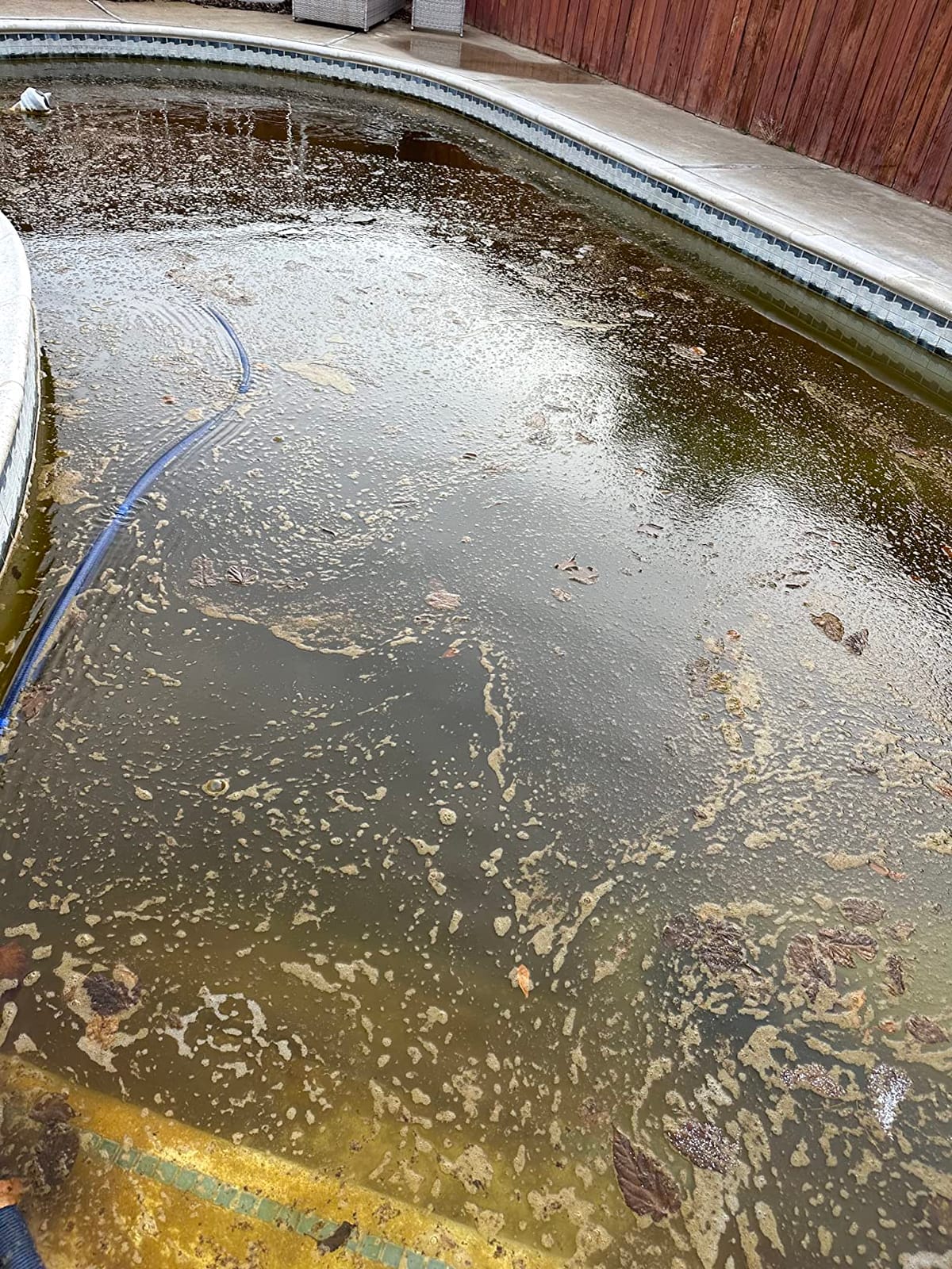 Polaris MAXX Premium Suction-Side Automatic Pool Cleaner, Smart Navigation and HALO Technology for Easy Debris Removal, Energy Efficient, All In-Ground Surfaces customer photo 2
