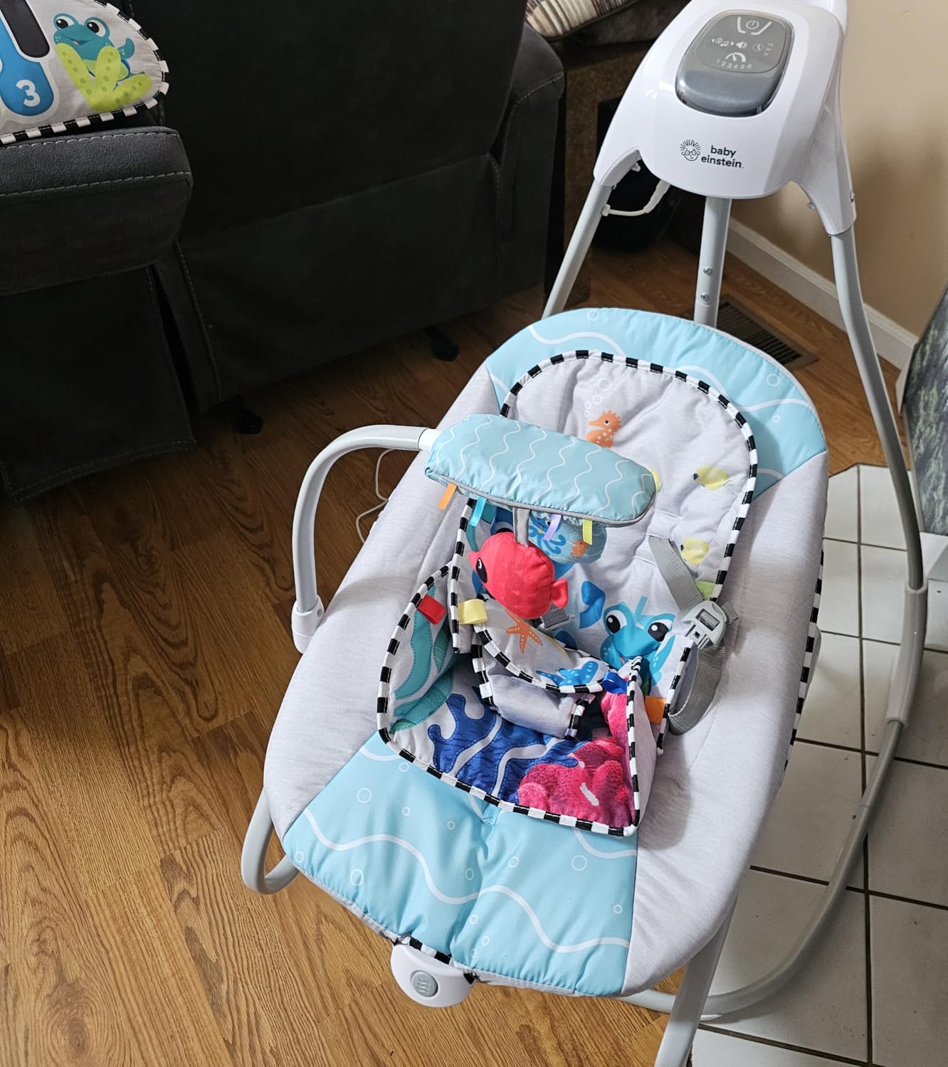 Baby Einstein Ocean Explorers Musical Compact, Lightweight Baby Swing, 6-Speed Multi-Direction, Vibrations, Music, Sounds, 0-9 Months - Grey customer photo 2