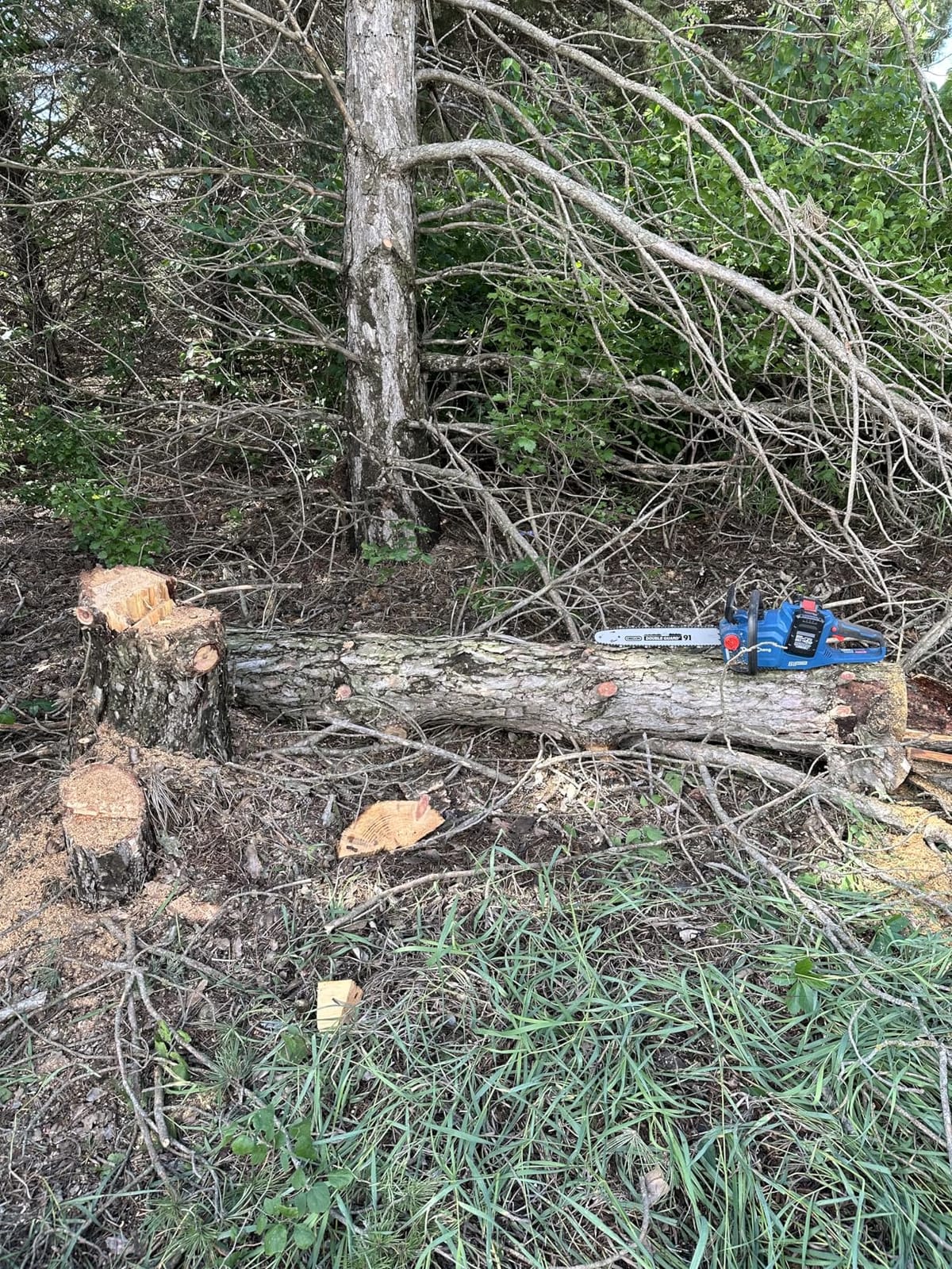 DongCheng 40V 16-Inch Brushless Cordless Chainsaw with 2x4.0Ah Batteries - Gas-Like Power for Tree Felling, Storm Cleanup & Firewood, Tool-Free Tensioning, Auto Oiler, Chain Brake customer photo 1