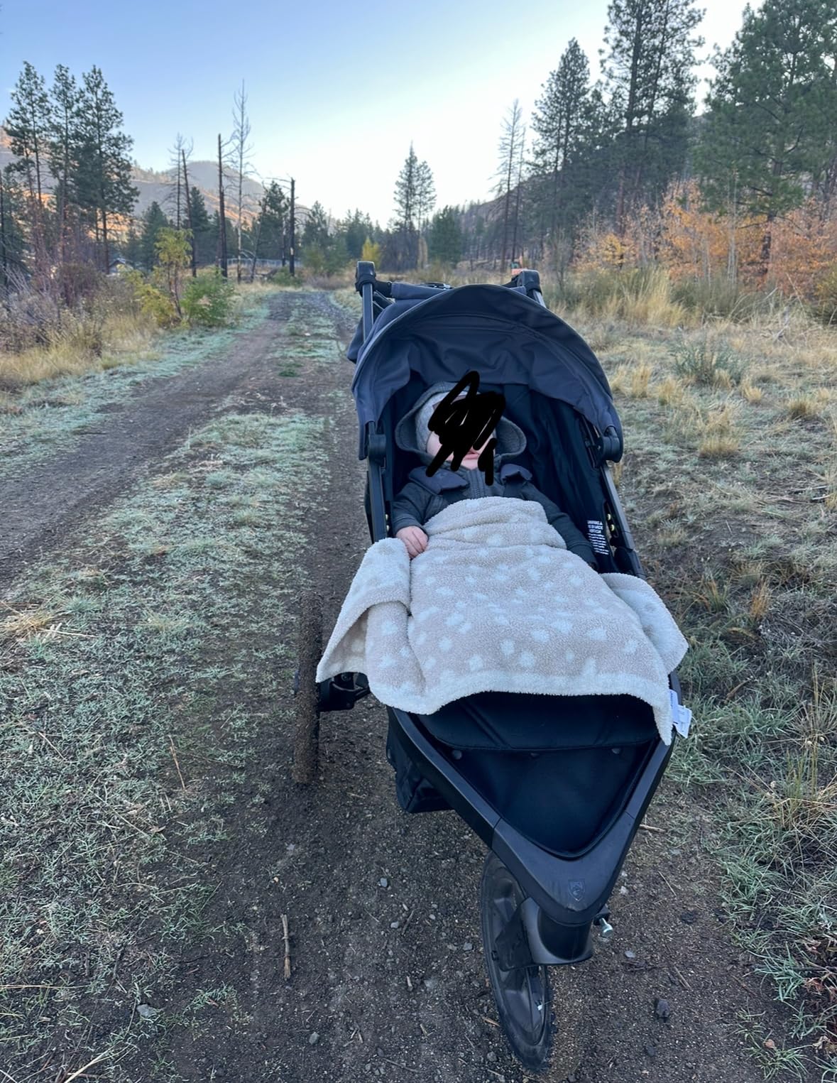 BOB Gear Wayfinder Jogging Stroller - Storm customer photo 1