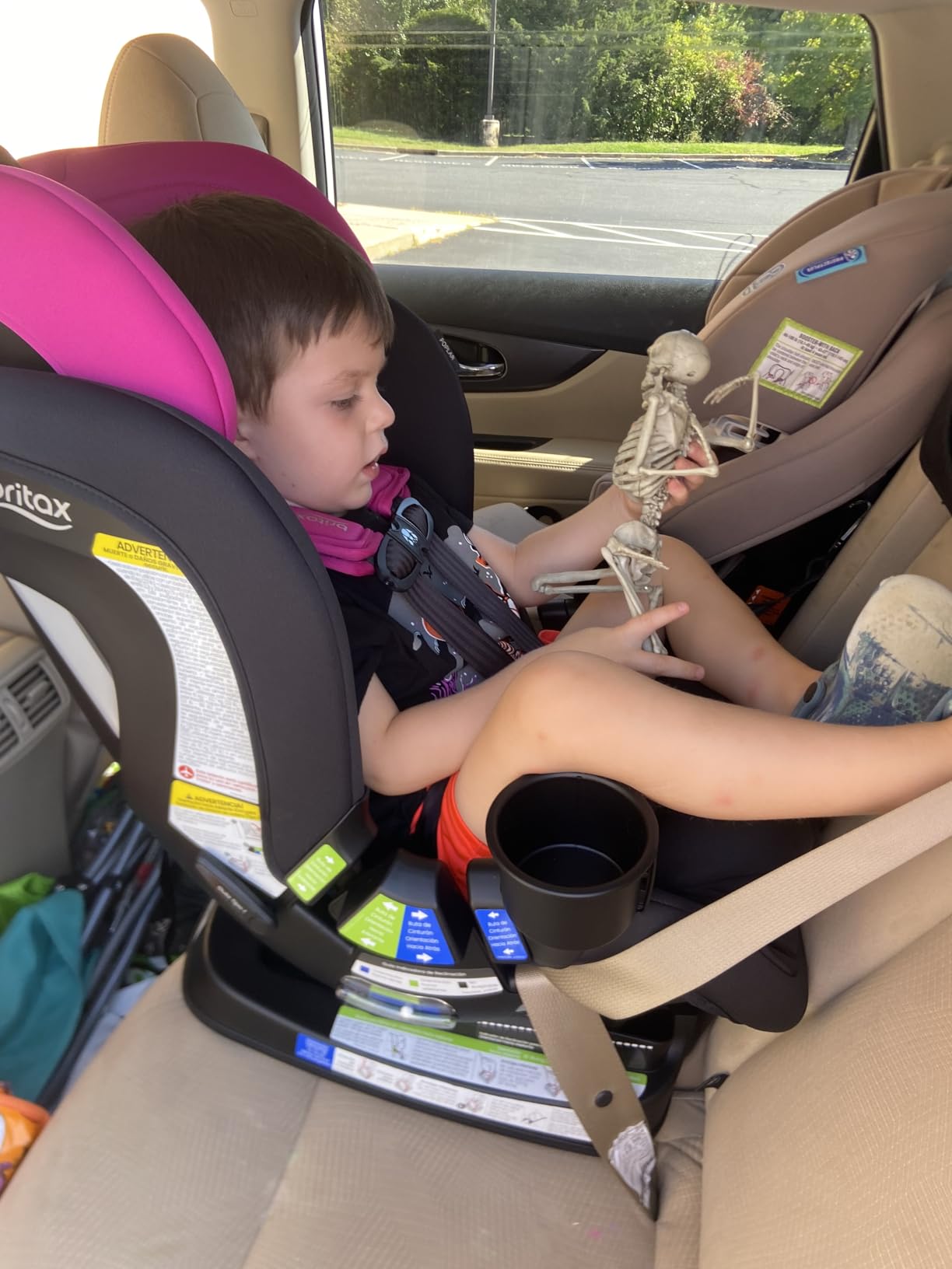 Britax Poplar Convertible Car Seat, Slim 17
