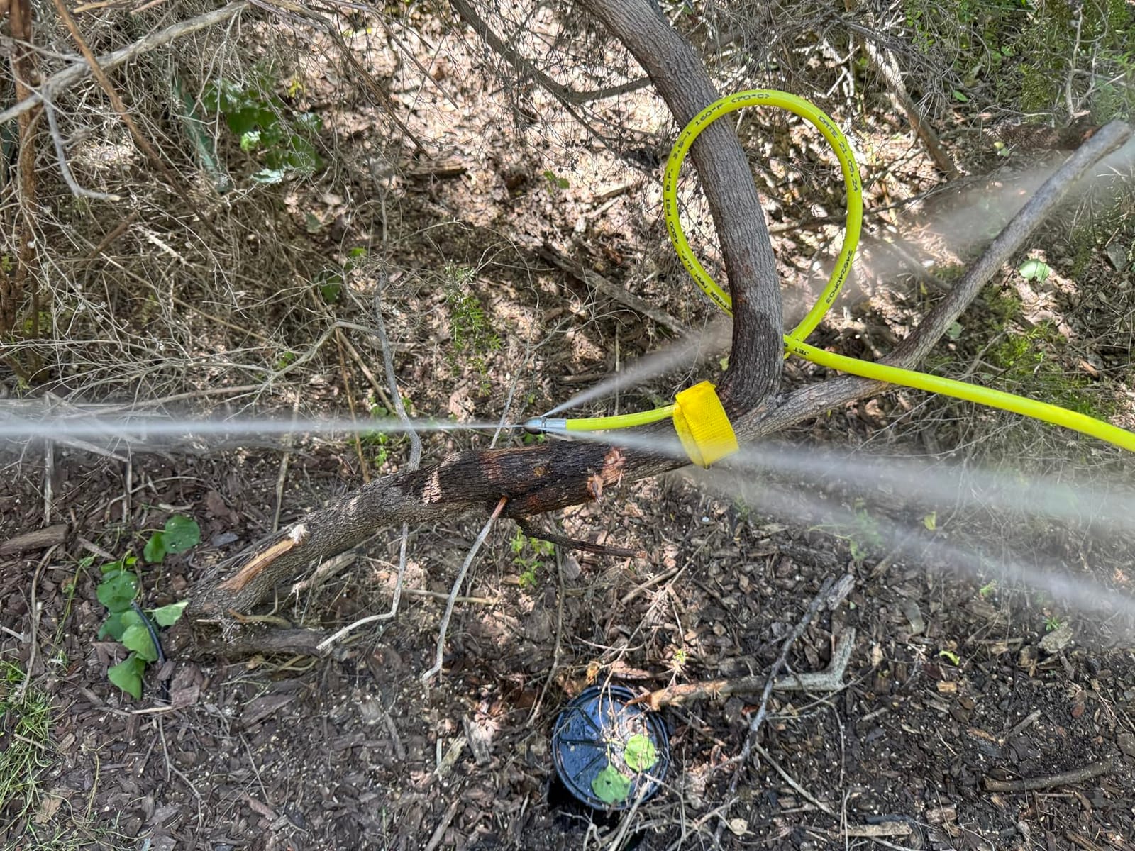 50 FT Sewer Jetter for Gas Pressure Washers - Flexible Steel Braid | Unclog sinks, laundry lines, floor drains, indoor and outdoor pipes customer photo 1
