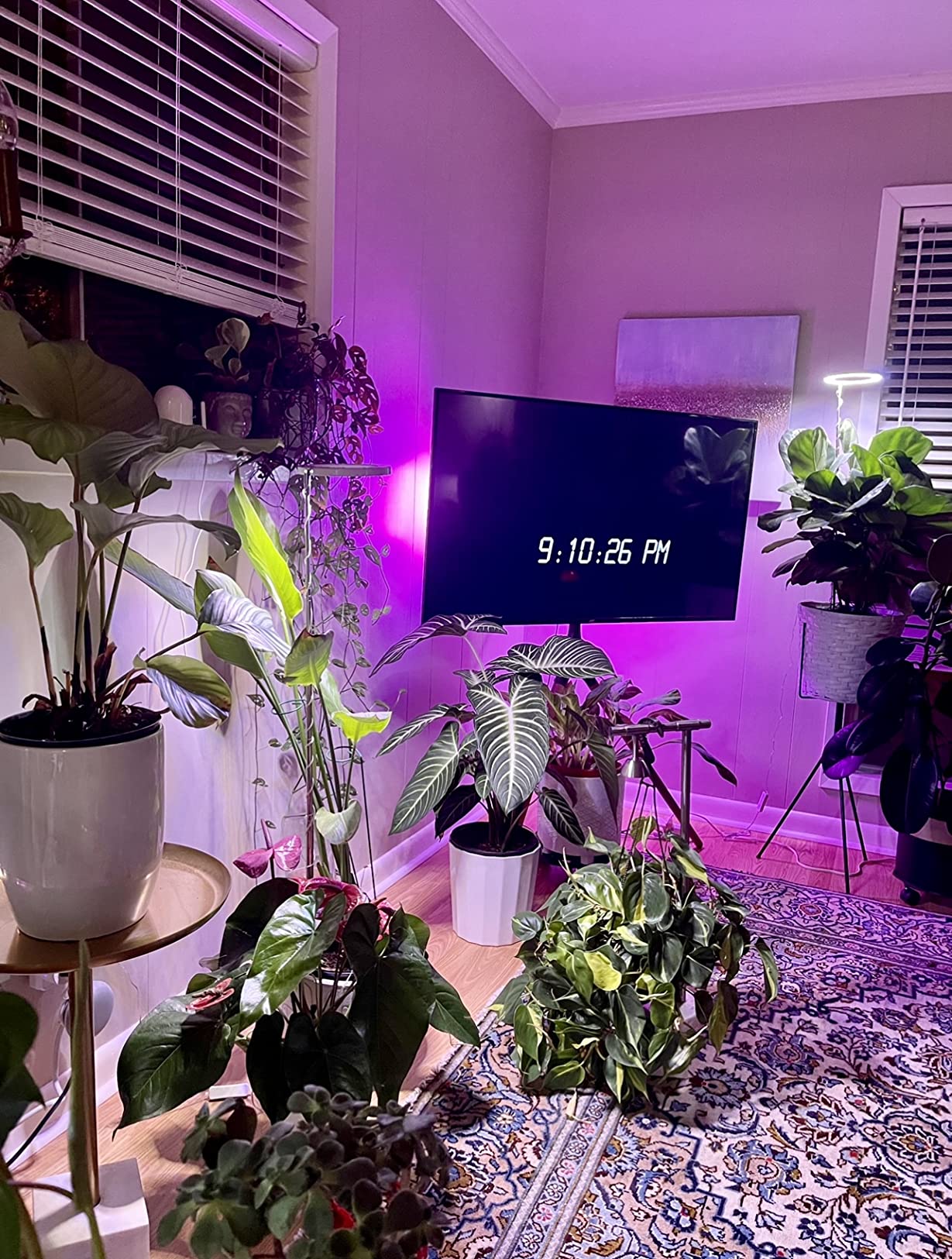 yadoker Plant Grow Light, LED Growing Light Full Spectrum for Indoor Plants, Height Adjustable, Automatic Timer, 5V Low Safe Voltage, Idea for Large Plant Light customer photo 1