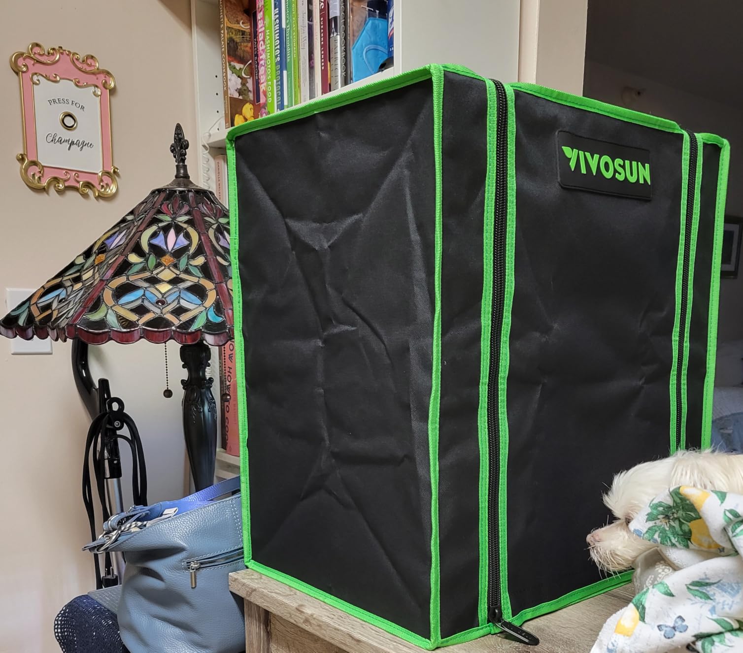 VIVOSUN Small Grow Tent for Aerogarden 20