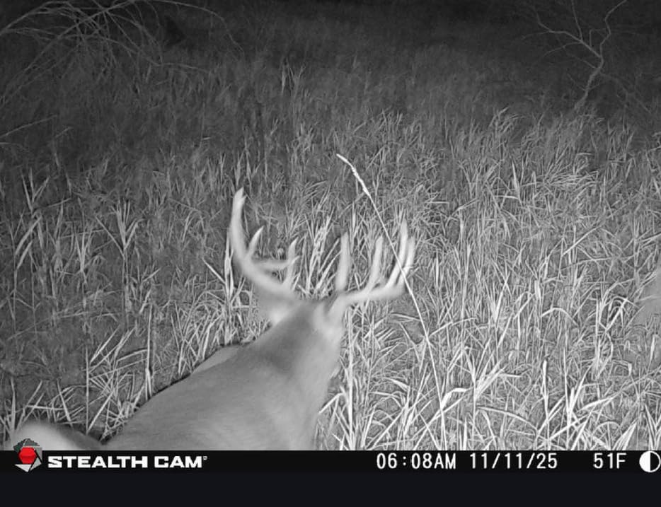Stealth Cam Browtine 16MP Durable Trail Camera Bundle, 32GB Ultra SDHC UHS-I Memory Card, High-Speed Card Reader (5 items) customer photo 2
