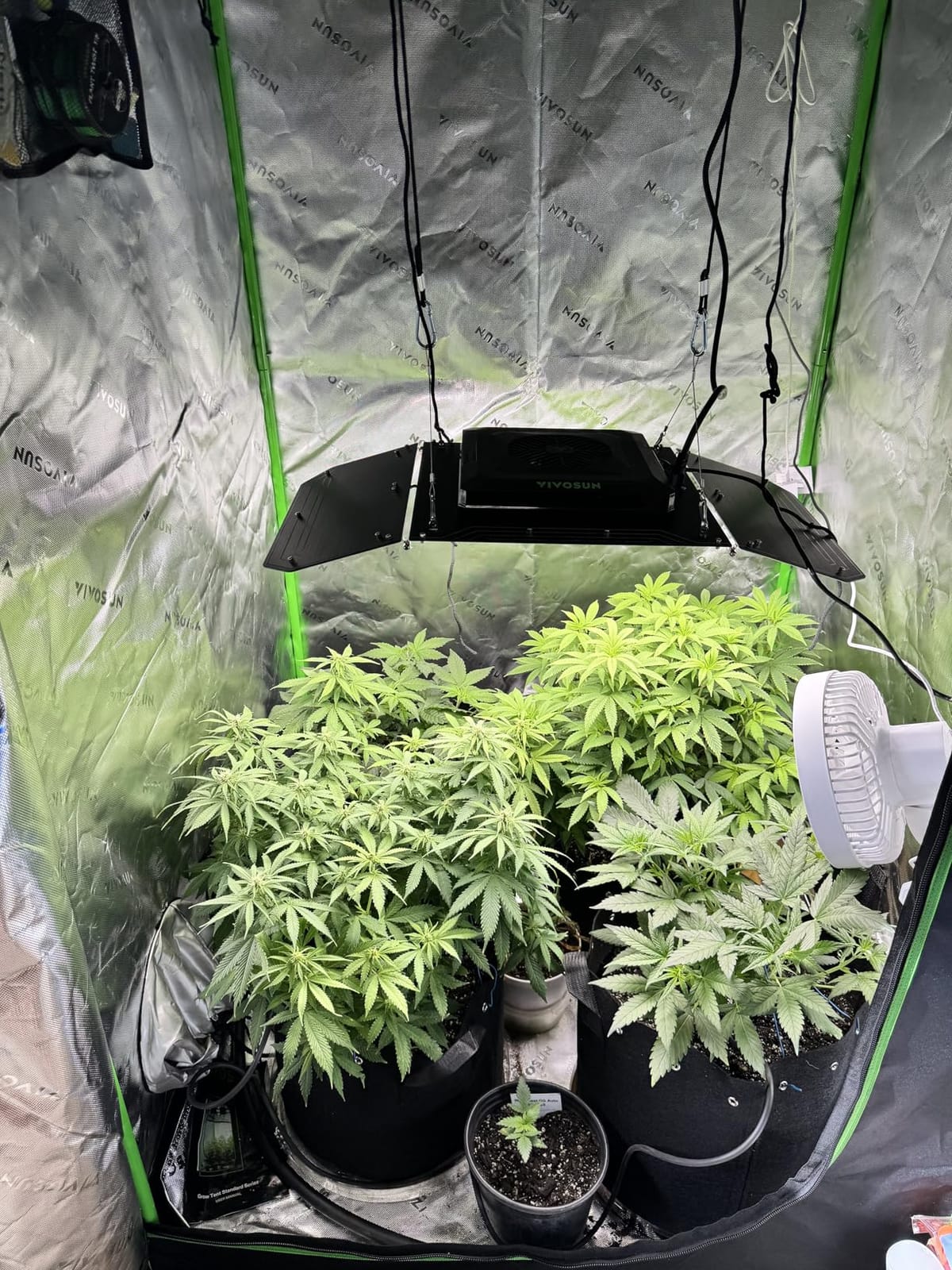 VIVOSUN Smart Grow Tent Kit 4x4, 4-Plant WiFi-Integrated Grow System | including 400W Full Spectrum LED Grow Light, Automatic Control GrowHub E42A+, Efficient Ventilation System customer photo 1