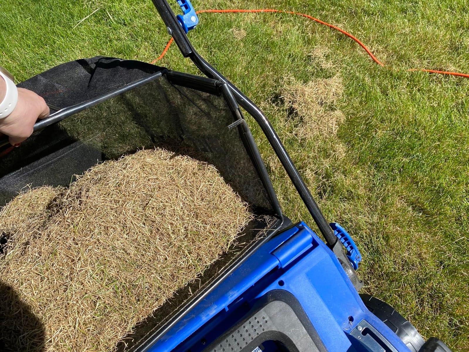 BILT HARD Dethatcher Scarifier Electric Powered, 12 Amp Copper Motor 13 inch Raking Width, 8 gal Thatch Bag, 2 in 1 Walk Behind Thatch Removing Machine for Lawn customer photo 1