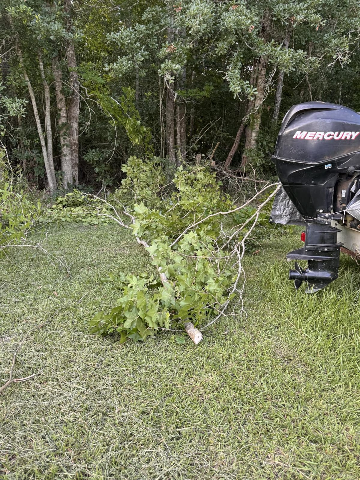 Tietoc Chainsaw 6 Inch Mini Electric Chainsaw Cordless Battery Powered, Hand Held Saw for Wood/Trees Trimming customer photo 1