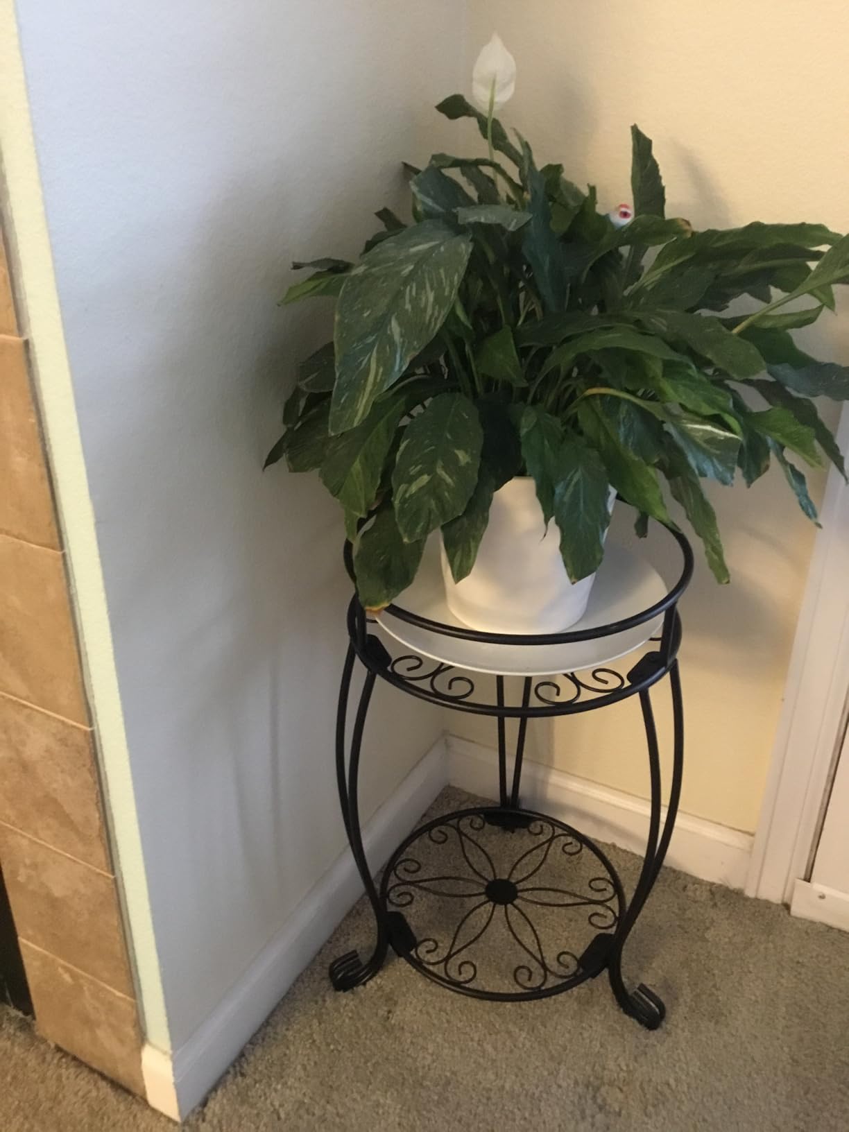 FaithLand 2 Tier Tall Black Metal Plant Stand Indoor Outdoor, 26.5