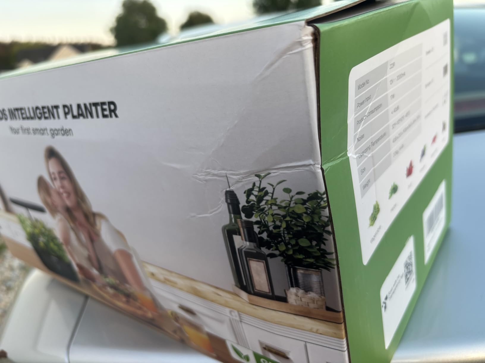 Ahopegarden Hydroponics Growing System: 12 Pods Indoor Herb Garden with LED | Plant Germination Kit with LED Grow Light, Countertop Herb Garden, Hydrophonic Planter Grower Harvest Vegetables Lettuce customer photo 1