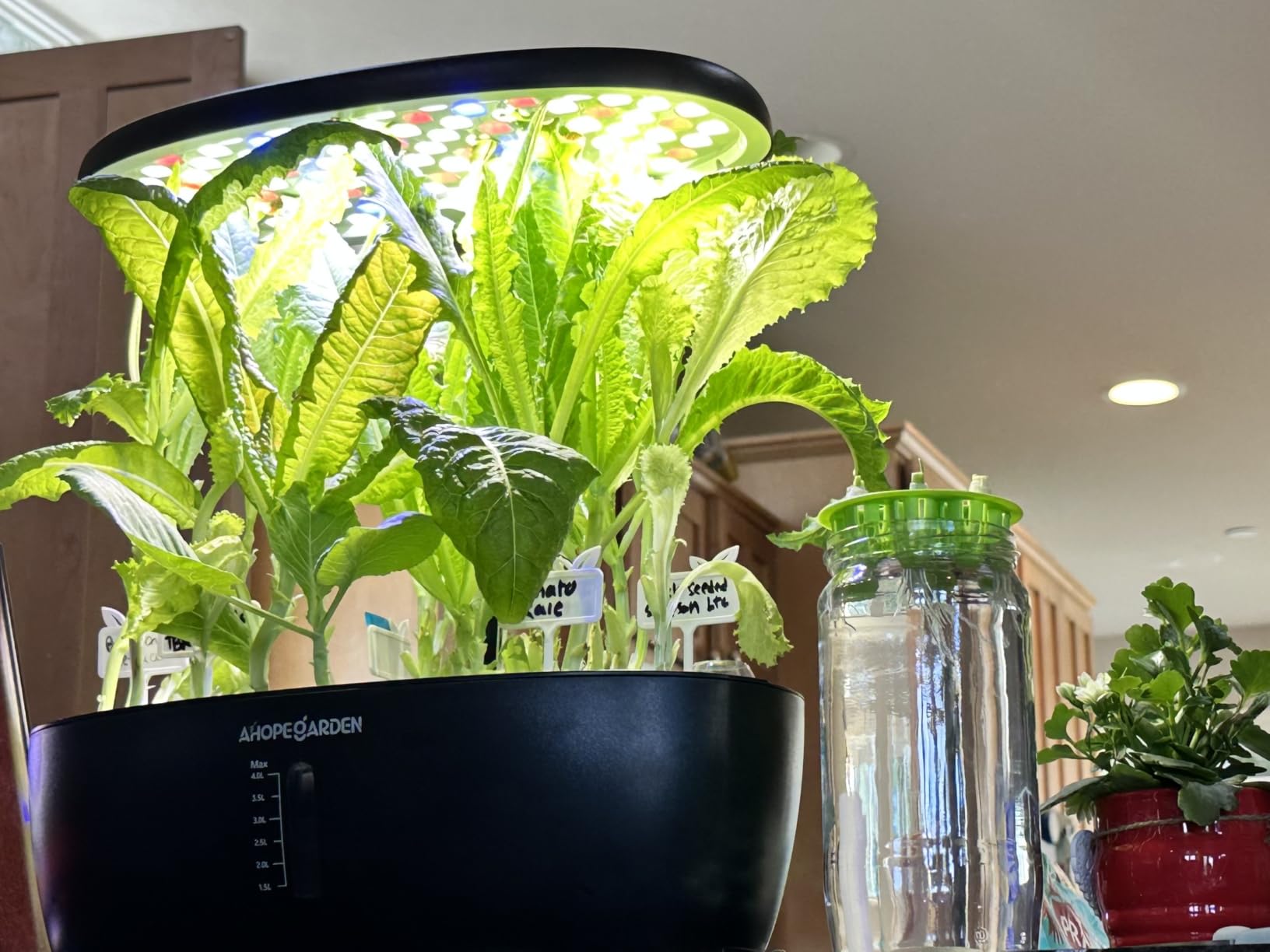 Ahopegarden Hydroponics Growing System: 12 Pods Indoor Herb Garden with LED | Plant Germination Kit with LED Grow Light, Countertop Herb Garden, Hydrophonic Planter Grower Harvest Vegetables Lettuce customer photo 2