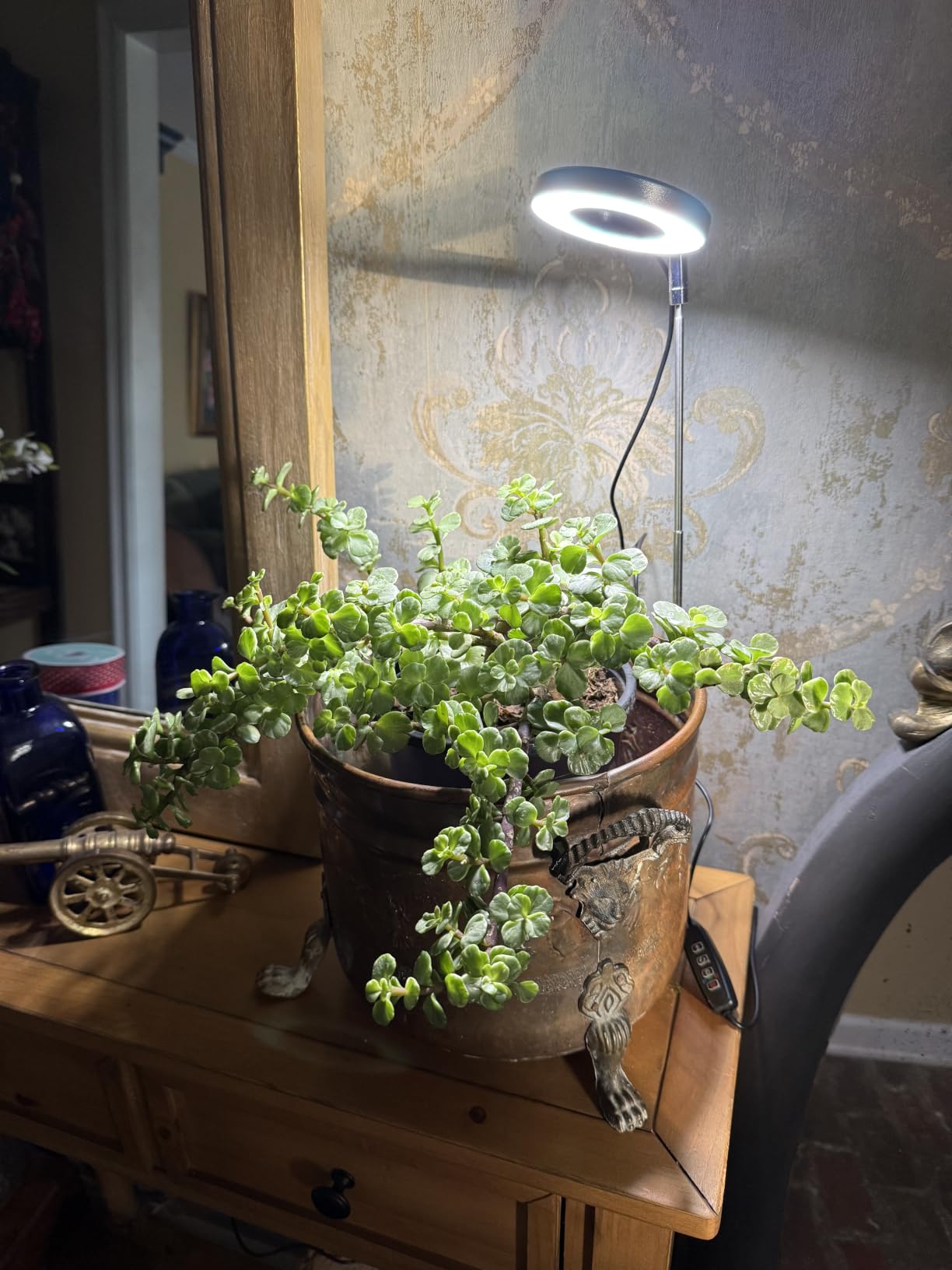 Aokrean Grow Lights for Indoor Plants, Full Spectrum Plant Light with Base | 48 LEDs Halo Grow Lamp for Small Plants, Base/Soil Insert, 6.5-26in Adjustable, 3 Spectra, 3/9/12H Timer, 10 Brightness, 3 Pack customer photo 2