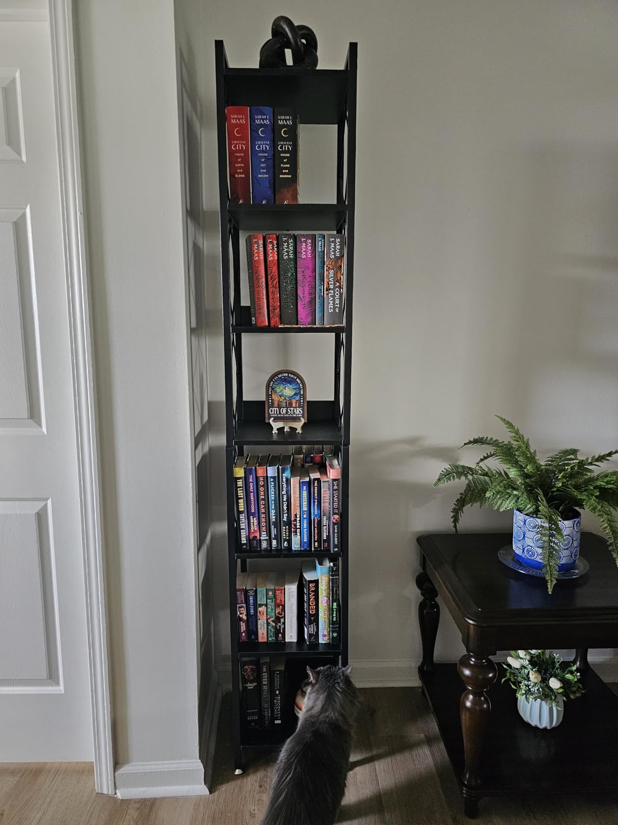 Tribesigns 78.7 Inch Tall Skinny Narrow Bookshelf Bookcase, Brown | 7 Tier Bookcase for Small Spaces, Freestanding Display Shelves, Multifunctional Corner Storage Organizer for Home Office customer photo 2