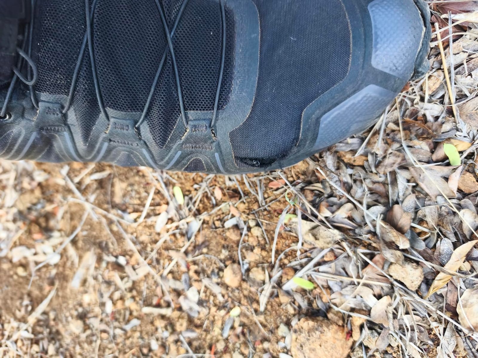 Salomon Women's Speedcross Trail Running Shoes customer photo 1