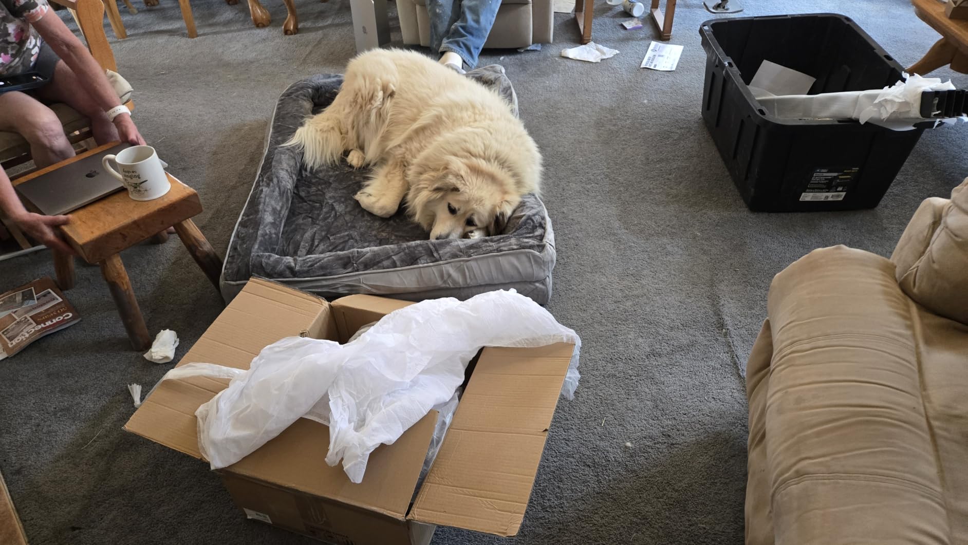 Bedsure Orthopedic XL Dog Bed Extra Large with Removable Washable Cover | 42