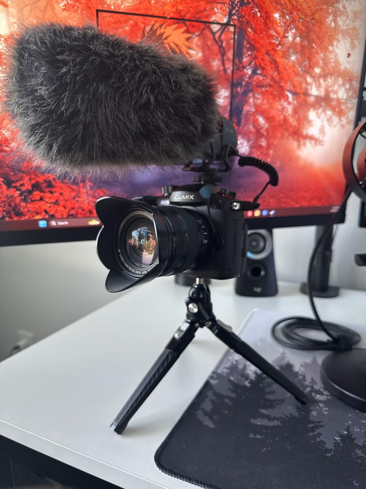 NEEWER Mini Metal Table Tripod with 360° Ball Head, TP29 | Support Vertical Recording and Handle, Portable Travel Tripod. 1/4