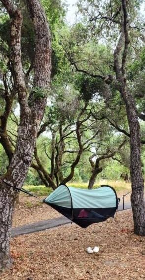 3-in-1 Camping Hammock Tent with Mosquito Net & UV Sunshade | 2-Person Lightweight Hanging Hammock with Tree Straps Aluminum Poles, Converts to Ground Bivvy for Backpacking Hiking Travel customer photo 1