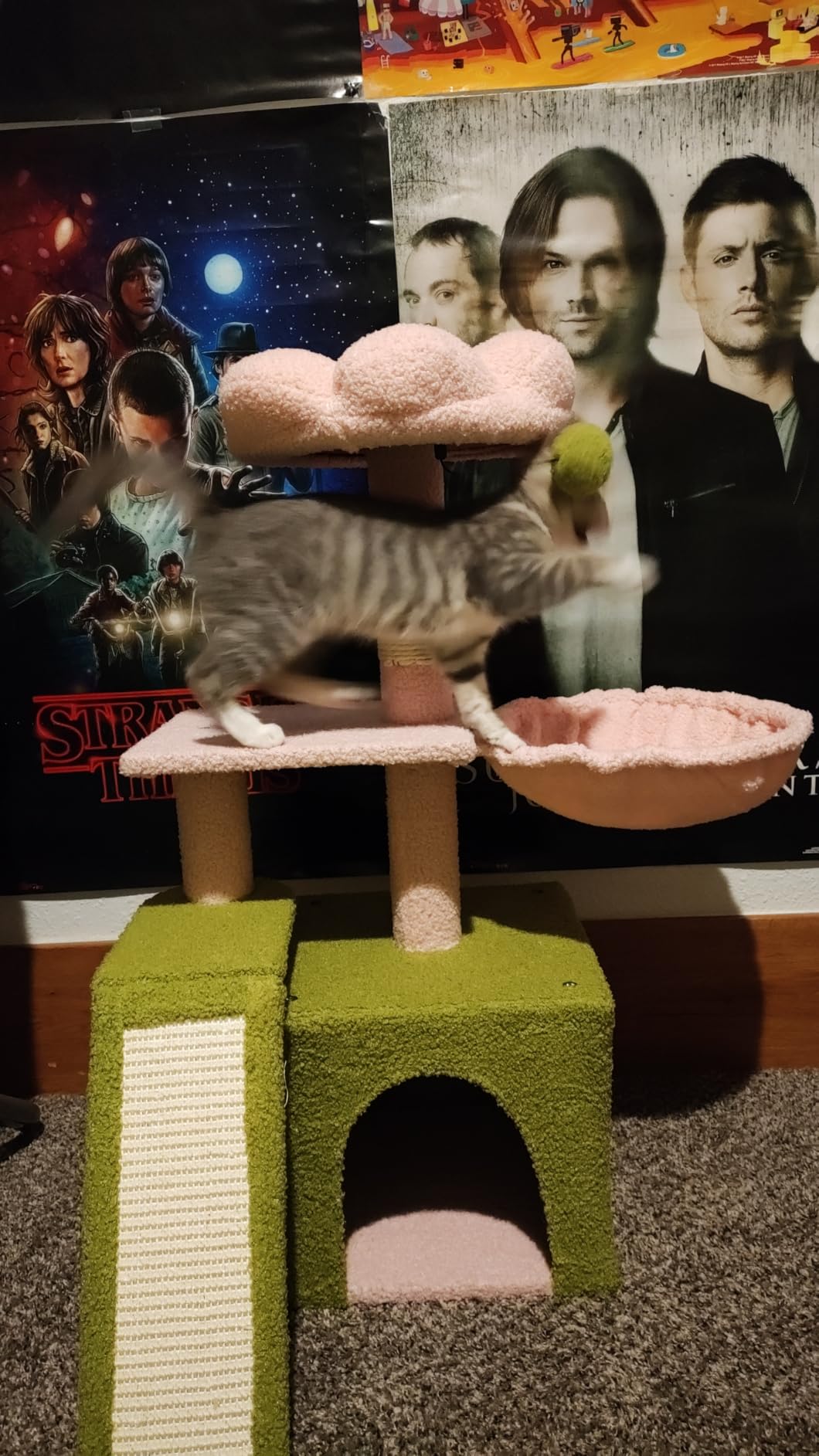 PETEPELA Cactus Cat Tree for Kittens & Small Cats, 32in Cat Tower, Green | Compact 4-In-1: Sisal Ramp, Cozy Hammock, Condo & Washable Top Bed customer photo 1