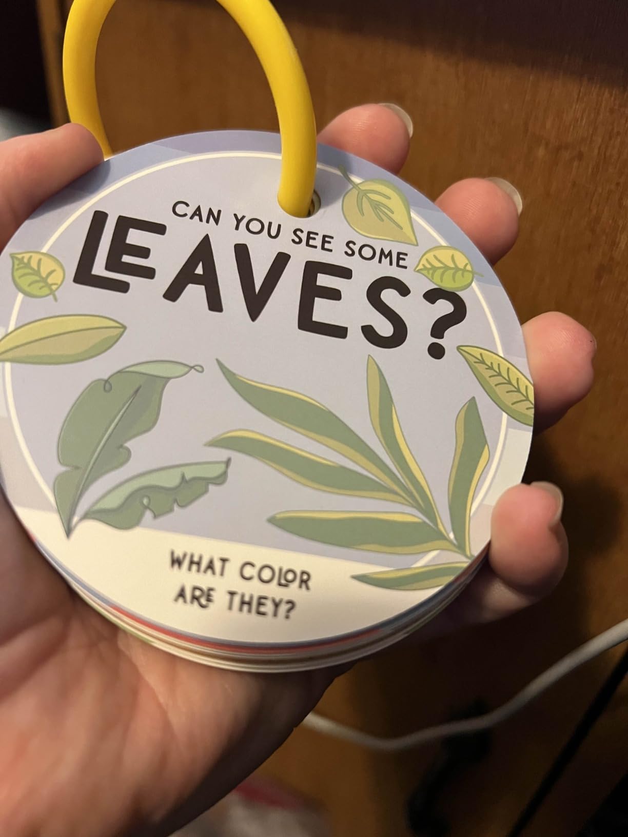Blu Jay Children's Scavenger Hunt Cards - Nature Toy, Outdoor Edition | Gets them outside and looking - search for bugs, leaves, and birds in the yard or at the park. Ages 2 and up. customer photo 1