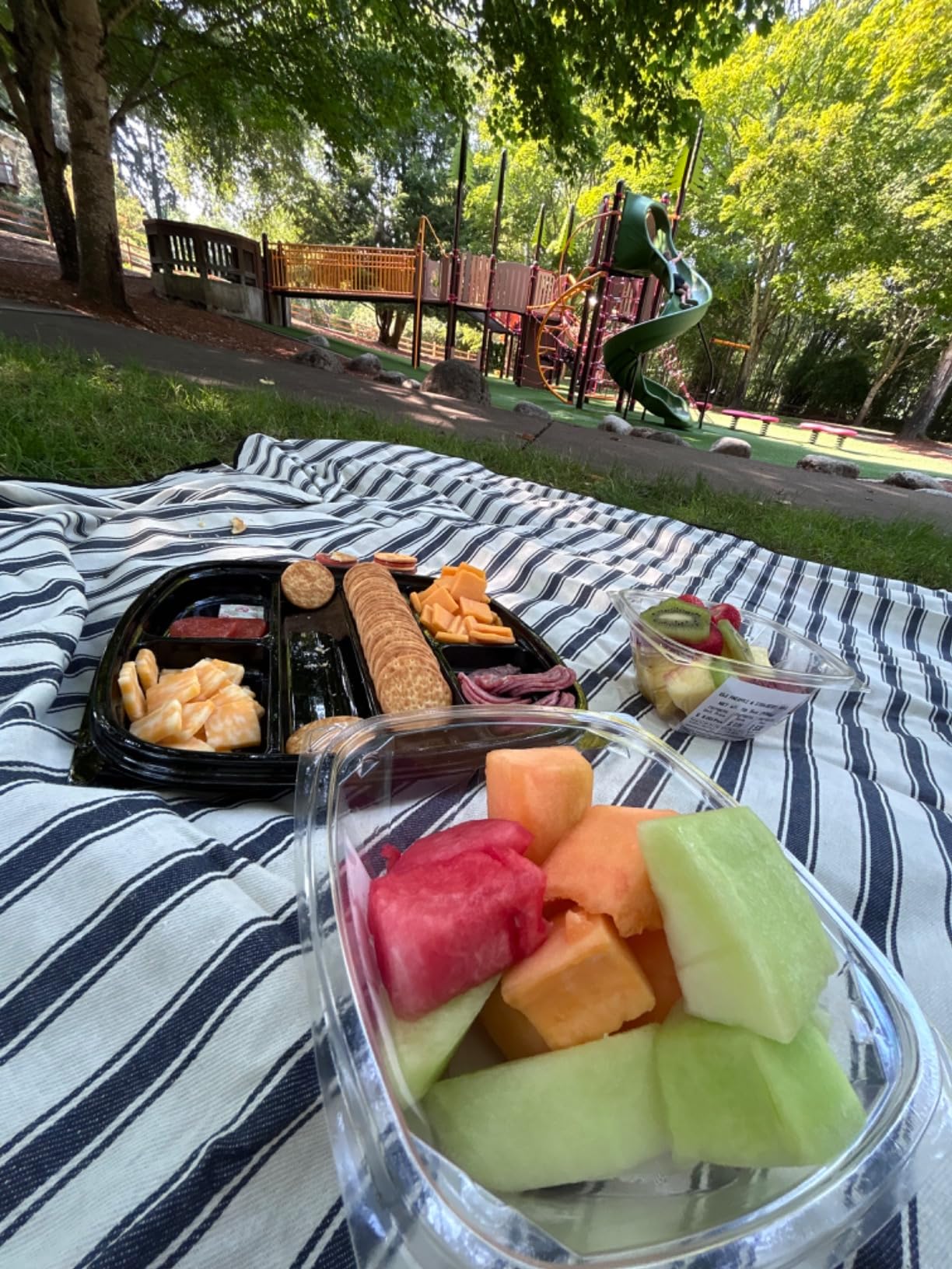 Picnic Blankets Outdoor Extra Large - Waterproof Picnic Blanket with Carry Strap | Machine Washable Picnic Mat with Sandproof Backing for Park, Grass, Hiking, Travel, Concerts, Indoor (Aegean Blue) customer photo 2