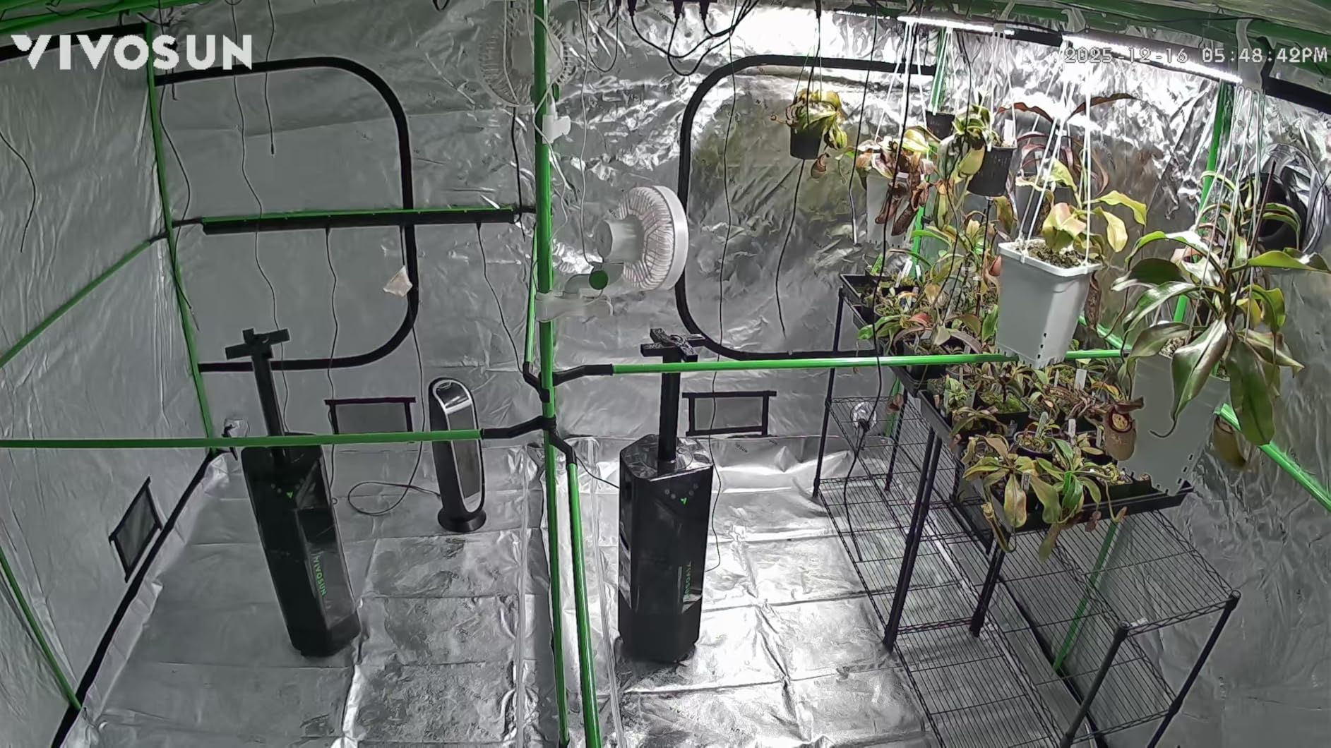 VIVOSUN P448 4x4 PRO Grow Tent with High CFM Kit, 48