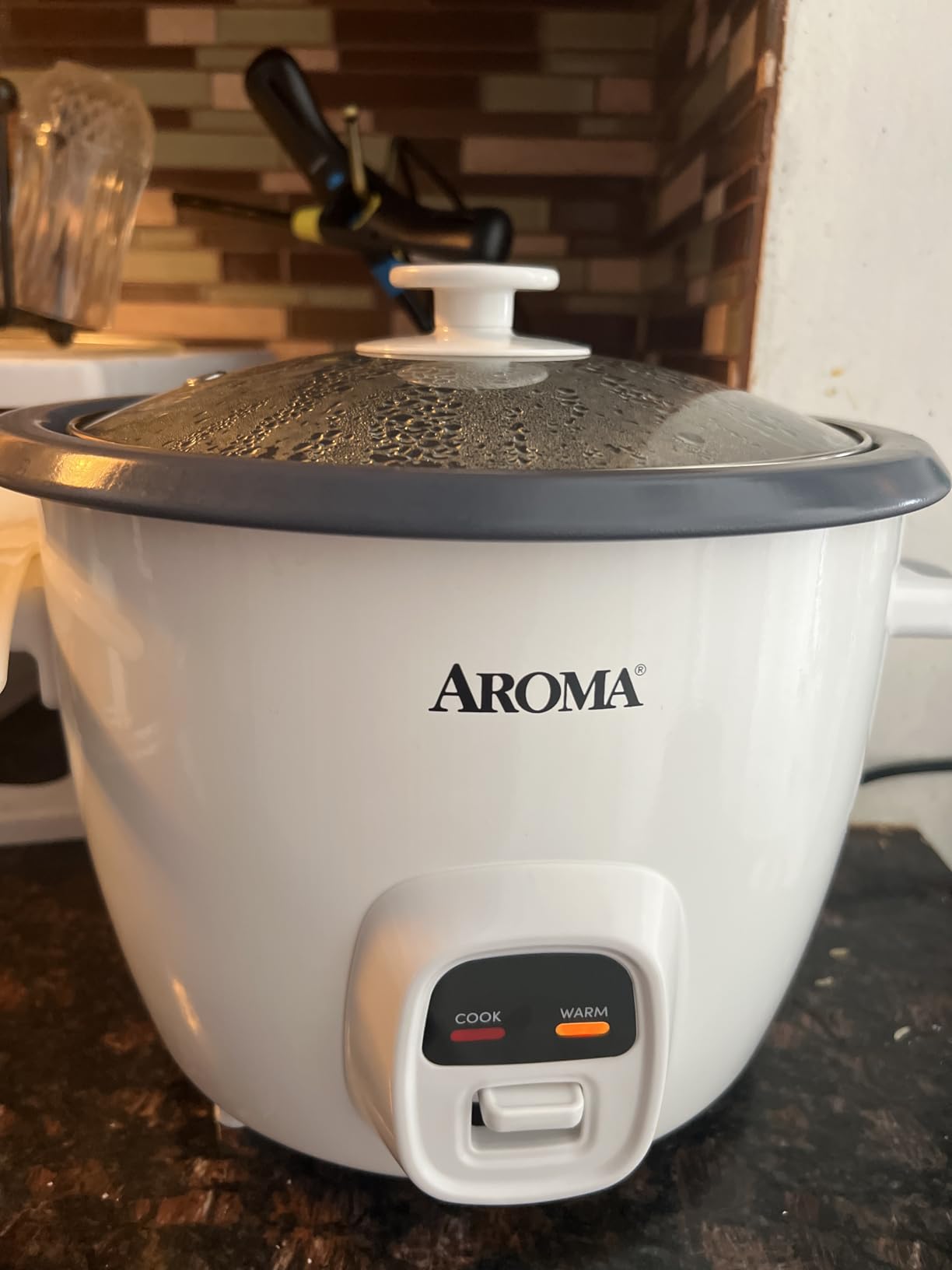 AROMA 20-Cup (Cooked) One-Touch Rice Cooker and Food Steamer with Auto-Warm | 10 cups uncooked, 20 cups cooked (ARC-390NGP) customer photo 2