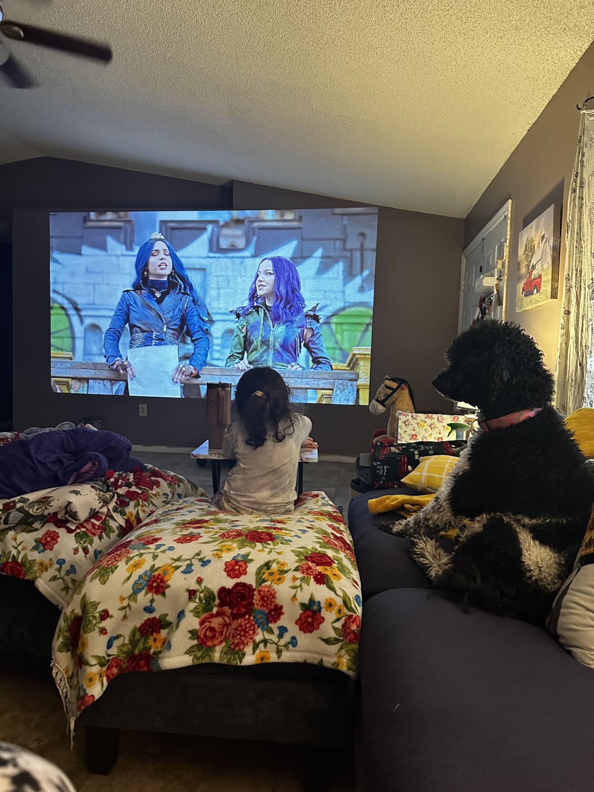 ViewSonic PA503HD 4000 Lumens 1080p Full HD DLP Projector, High Brightness customer photo 1