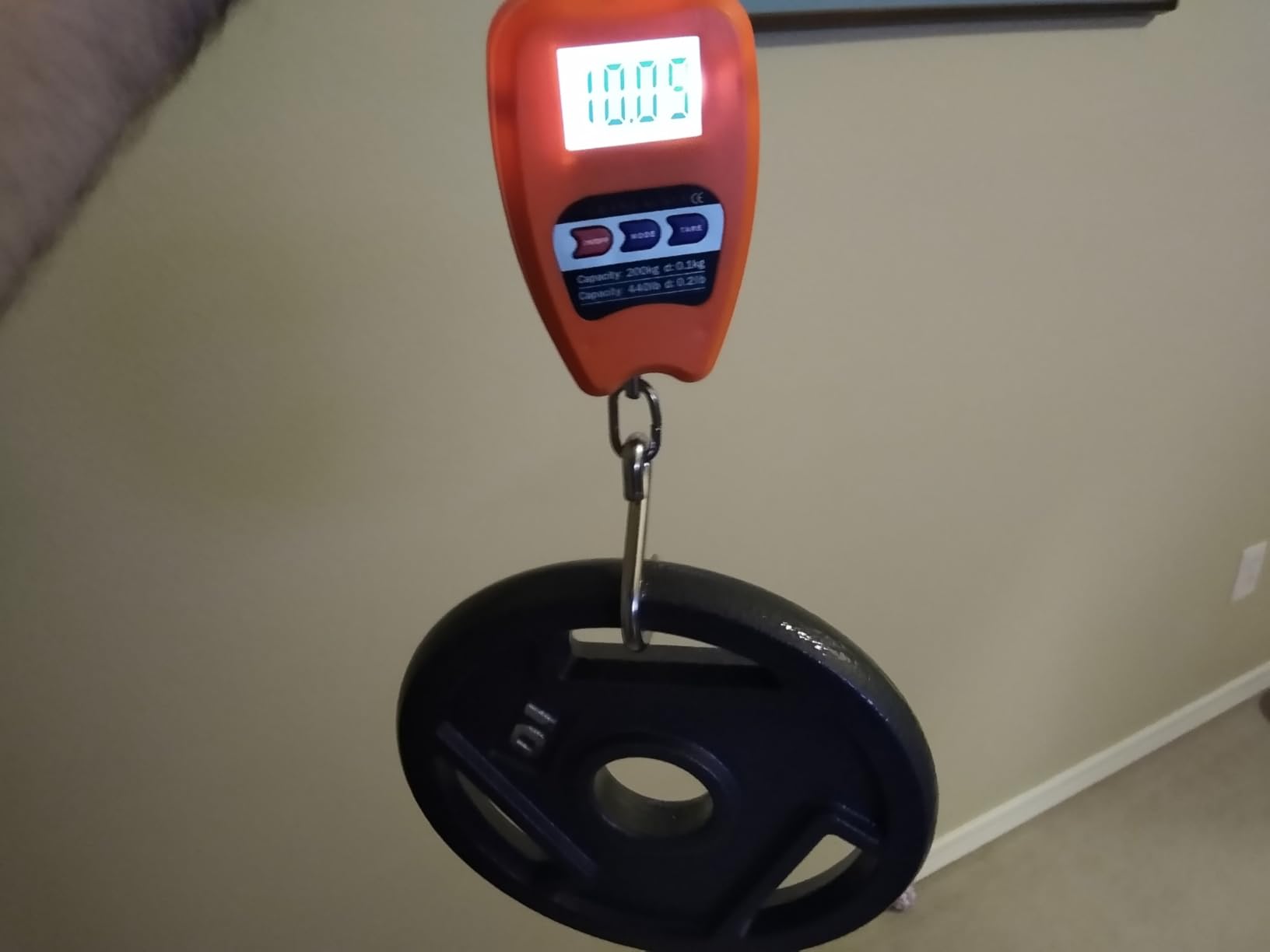 QWORK Hanging Weight Scale, 200kg/440lbs Digital Crane Scales Fish Weighing Scale Aluminum Housing LED Display Scale for Fishing, Weigh Luggage, Home Farm customer photo 2