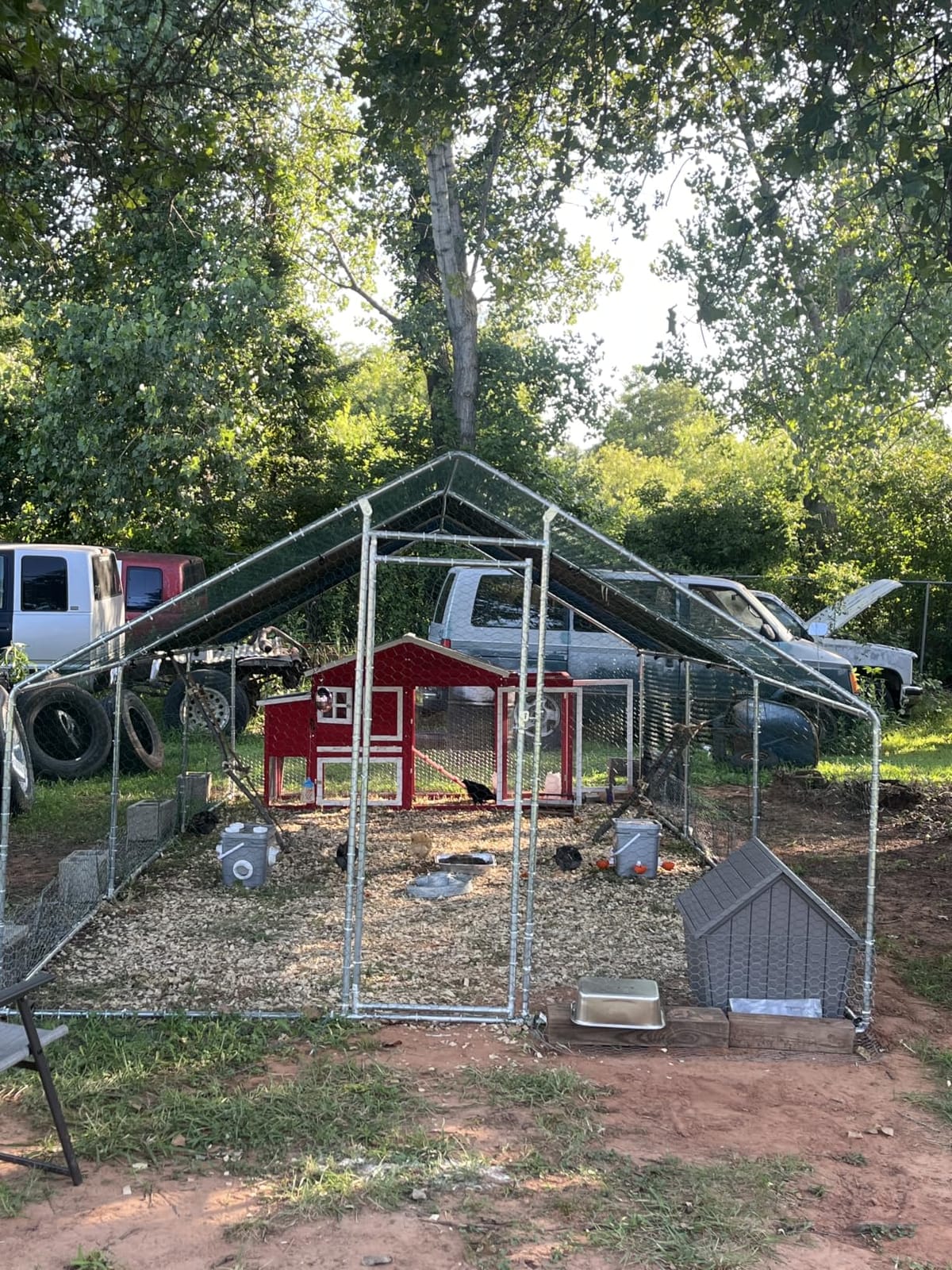 HITTITE Large Metal Chicken Coop with Run, 9.84 x 6.4 x 6.56 ft Walk in Poultry Cage Chicken Run Pen, Outdoor Chicken Runs for Yard with Waterproof & Anti-UV Cover customer photo 2