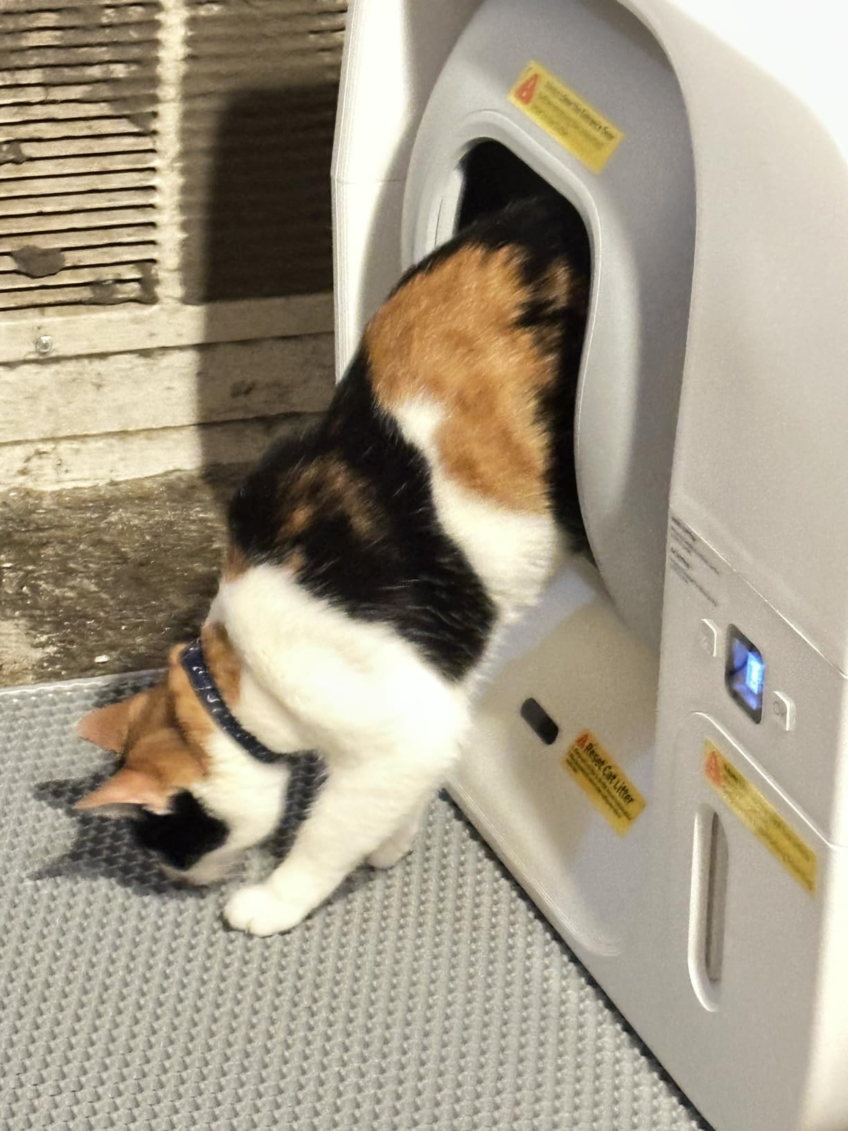 Furbulous True Odor-Free Self Cleaning and Packing Litter Box, Automatic Cat Litter Box with Self-Pack and Refill System, APP Control, Extra Large Space for 3.3-22 lbs Cats, Upgraded Version customer photo 1