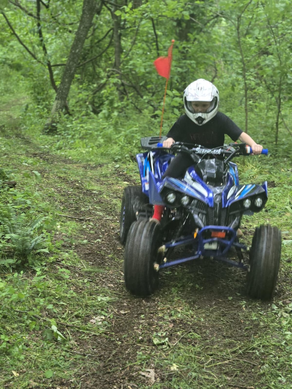 HHH 125cc ATV Quad Youth Utility Style ATV 125cc Fully Automatic Outlander ATV with Reverse Gas 4 Wheeler ATVs Quads Big 19/18 inch Tires (Blue) customer photo 1