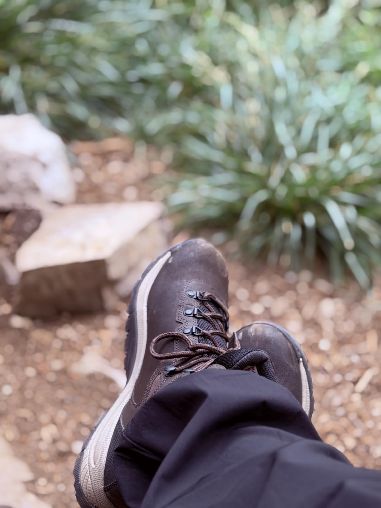Columbia Women's Newton Ridge Plus Waterproof Hiking Boots customer photo 1