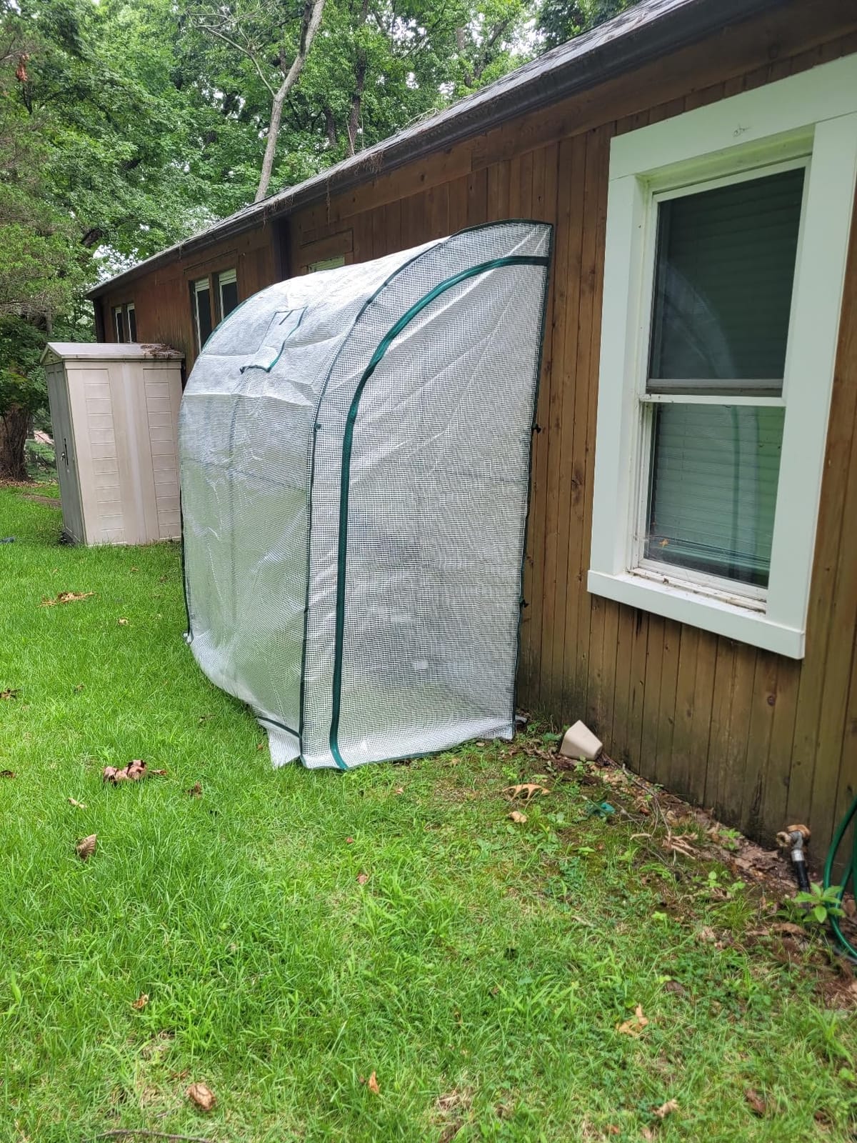 Lean to Greenhouse with 3-Tier Shelves: Ohuhu Portable Walk-in Wall Mounted Green House with Mesh Windows, 79