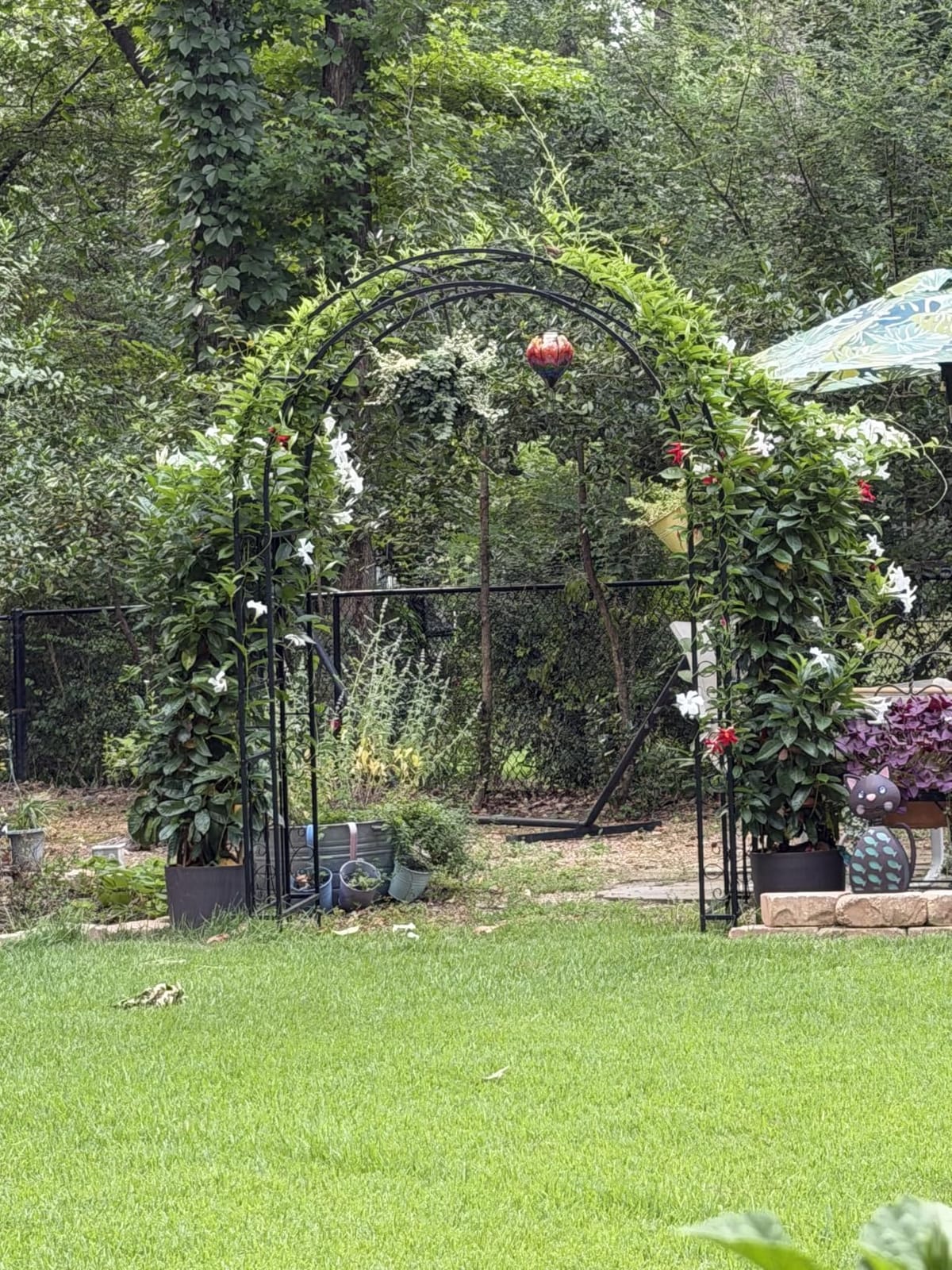 VINGLI Garden Arbor, Arch Archway for Wedding Ceremony Party, Steel Garden Trellis for Plant Climbing, Christmas Garden Decorations Pergola for Garden, Backyard, Lawn (Black, 52.2x22.8x83.9in) customer photo 2