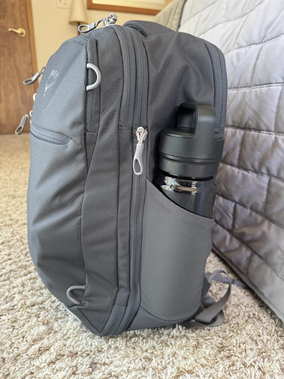 Osprey Daylite Expandable 26+6 Travel Pack, Yellow OS customer photo 2