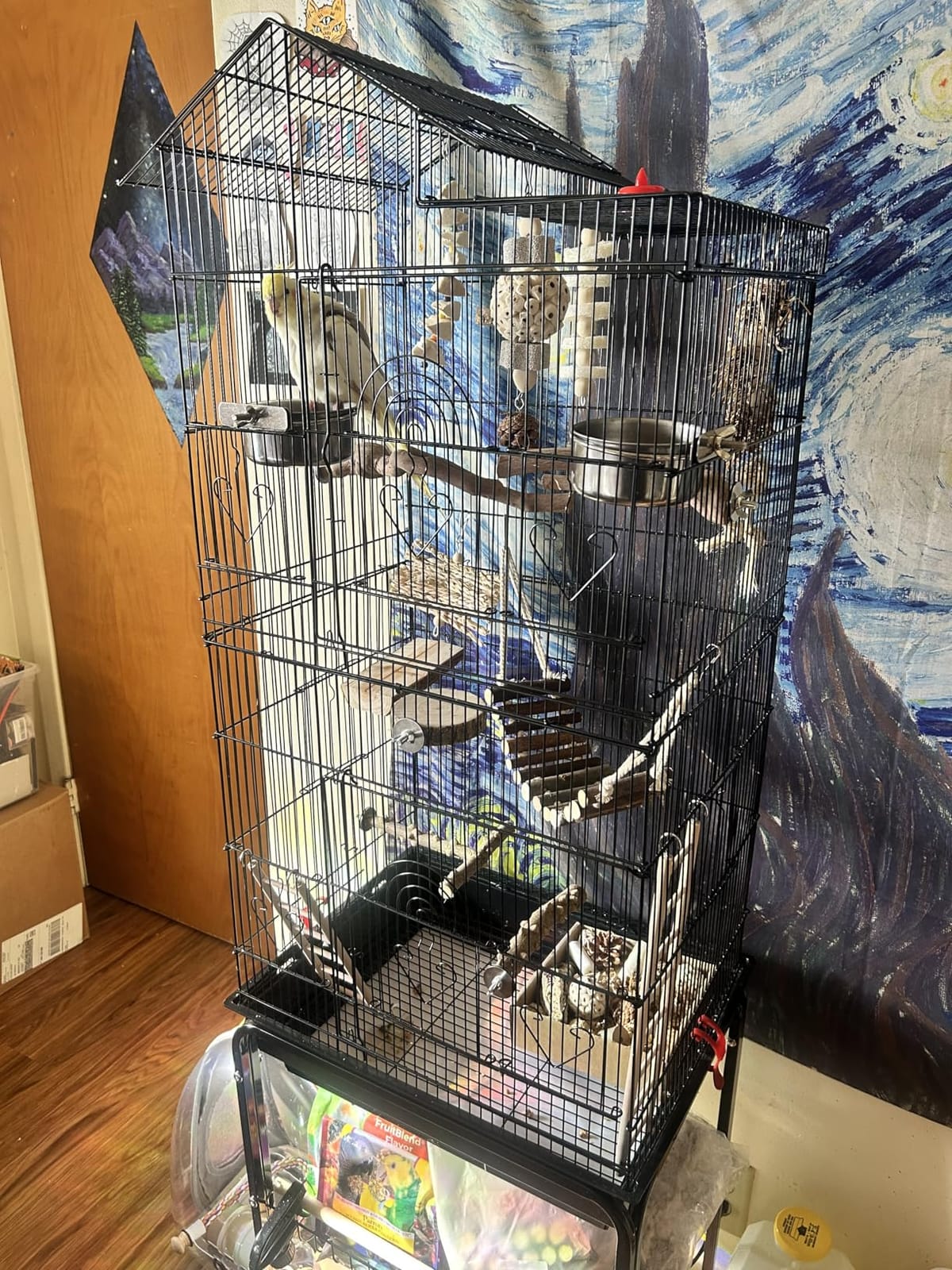 YITAHOME 62 inch Metal Bird Cage, Large Parakeet Cages | Bird Cage for Parrot, Cockatiel, Lovebird, Pigeon with Roof Top, Rolling Stand and Hanging Accessories, White customer photo 2