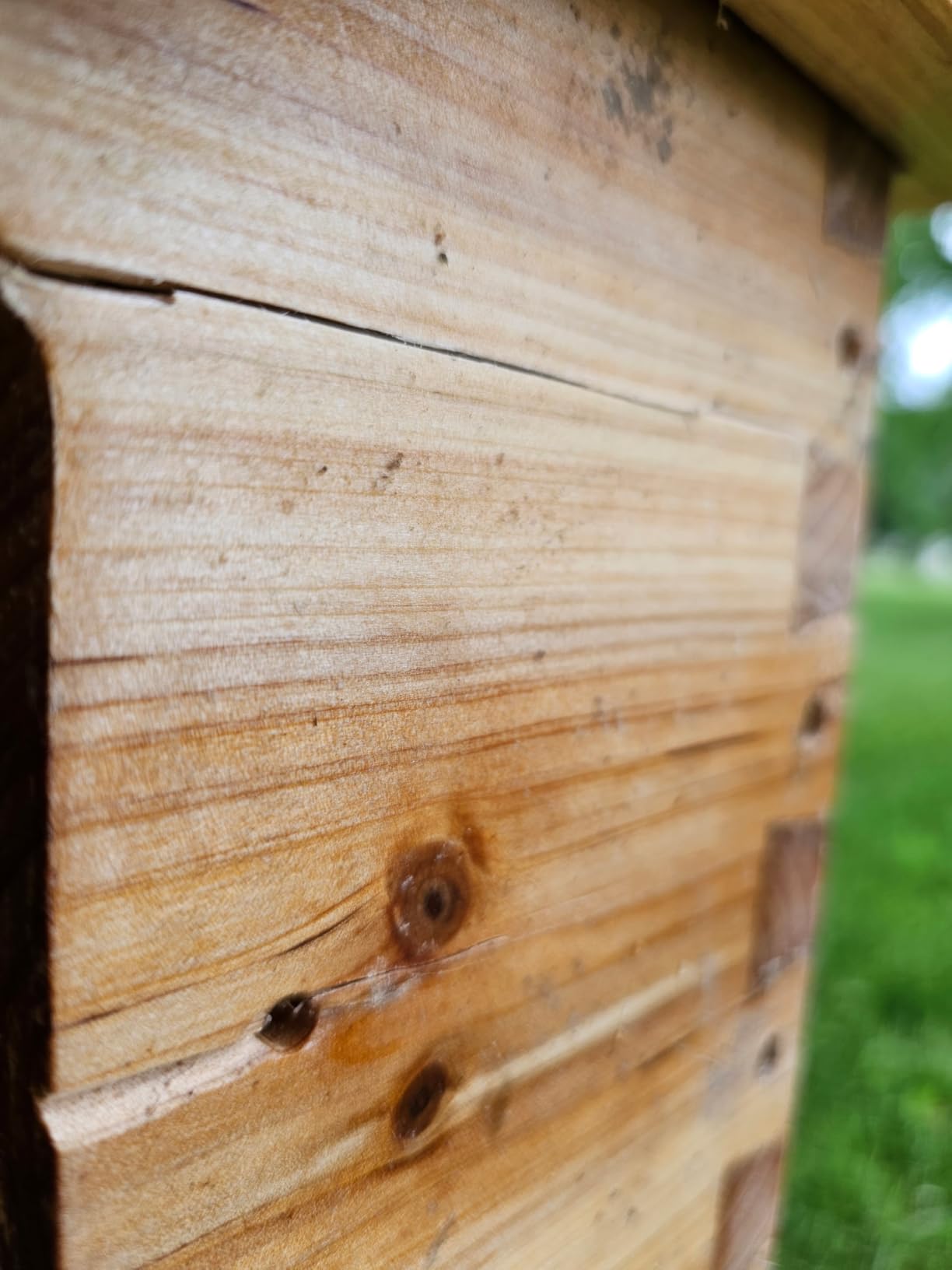 BeeCastle 10-Frame Langstroth Beehive with Windows, Beeswaxed Coated Bee Hive for Beginners with Beehive Frames and Waxed Foundations (2 Deep Bee Boxes & 1 Medium Super Bee Box) customer photo 1