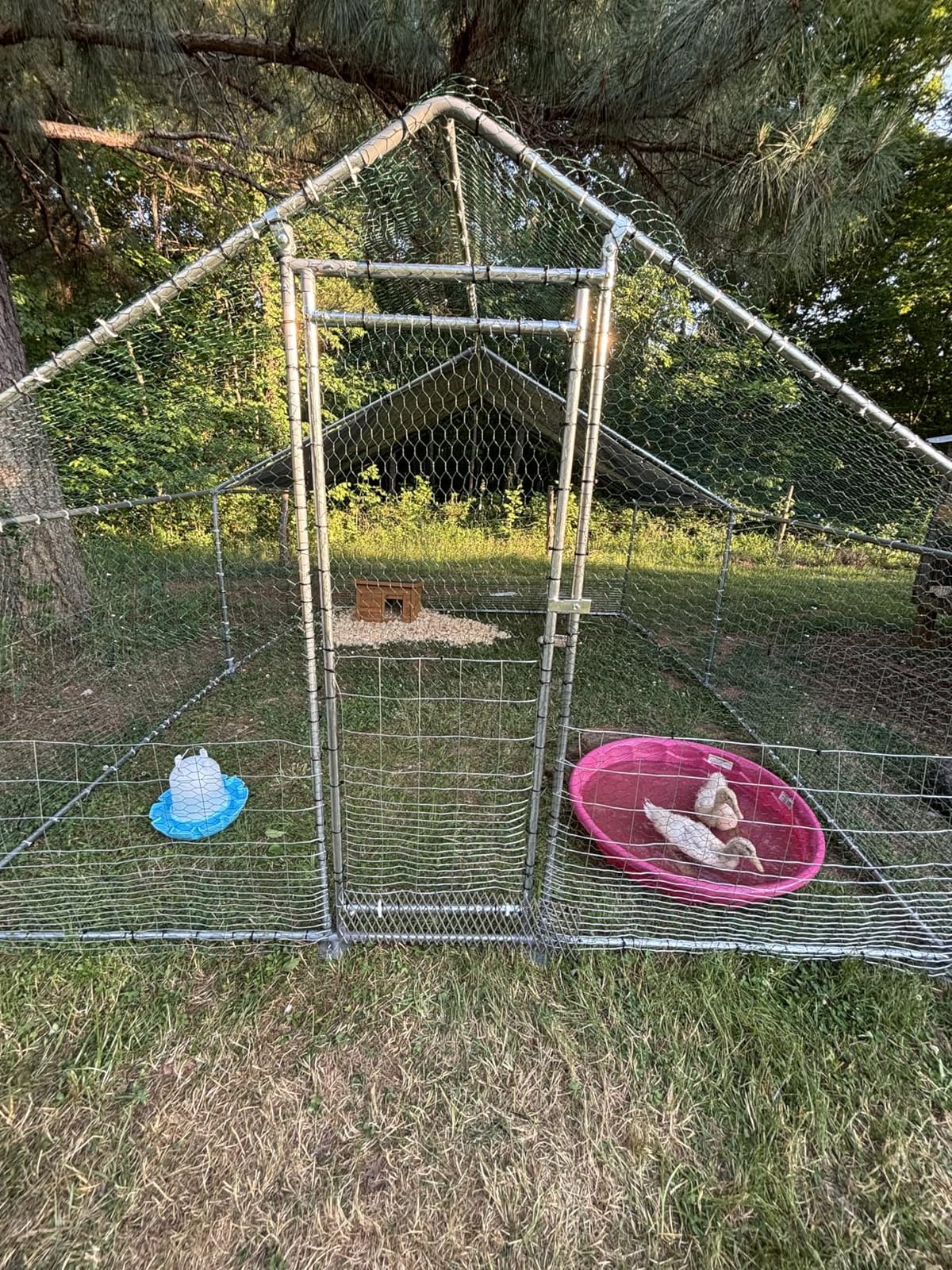 NUGRIART Large Metal Chicken Coop Walk-in Poultry Cage with Water-Resident and Anti-UV Cover Duck Rabbit Cat House Outdoor Chicken Run Pen with Spire Shaped Cage customer photo 1