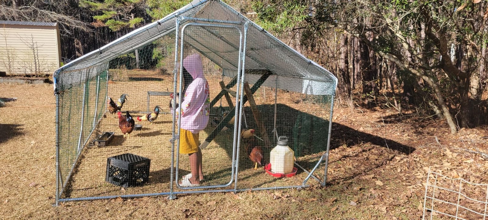Quictent Large Metal Chicken Coop Run for 30+ Poultry with Side Hardware Cloth & Waterproof Cover, Advanced Series Outdoor Walk-in Cage Hen Duck Rabbit Dog Pen Yard Farm House, 18x9x6.6FT customer photo 1