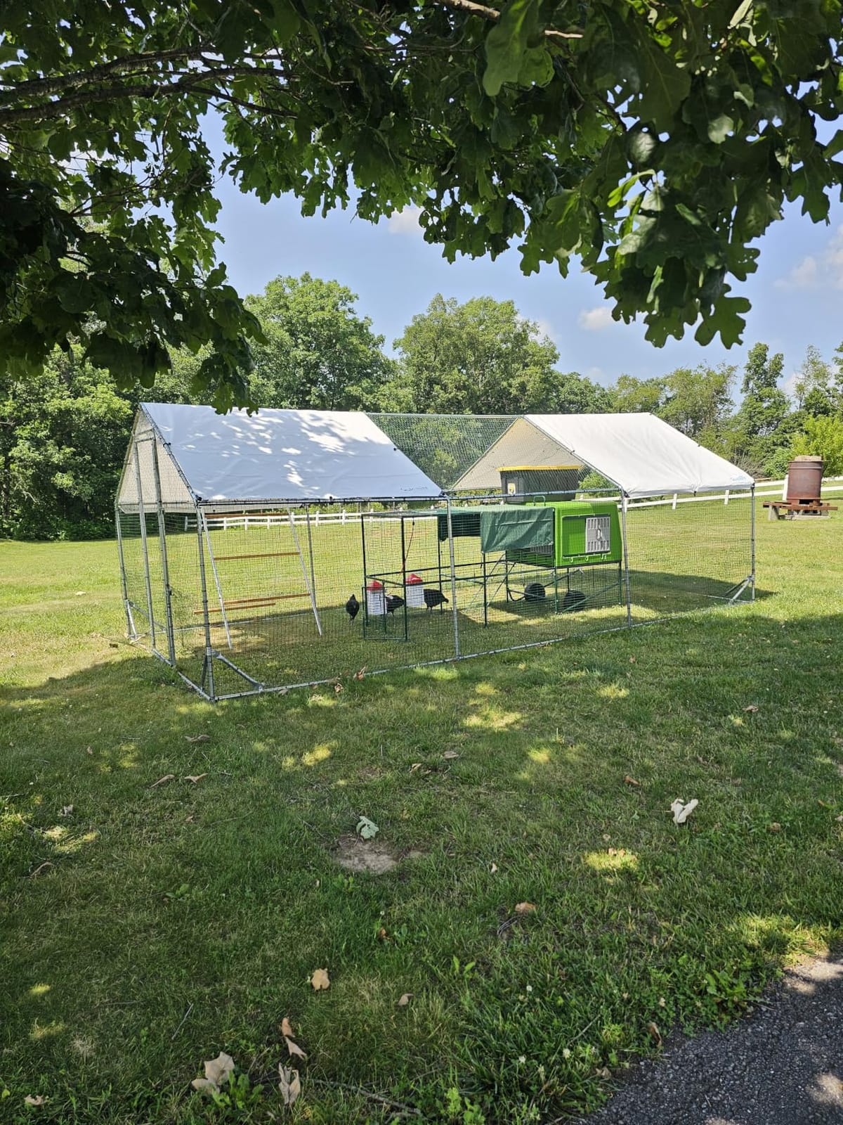 Quictent Large Metal Chicken Coop Run for 30+ Poultry with Side Hardware Cloth & Waterproof Cover, Advanced Series Outdoor Walk-in Cage Hen Duck Rabbit Dog Pen Yard Farm House, 18x9x6.6FT customer photo 2