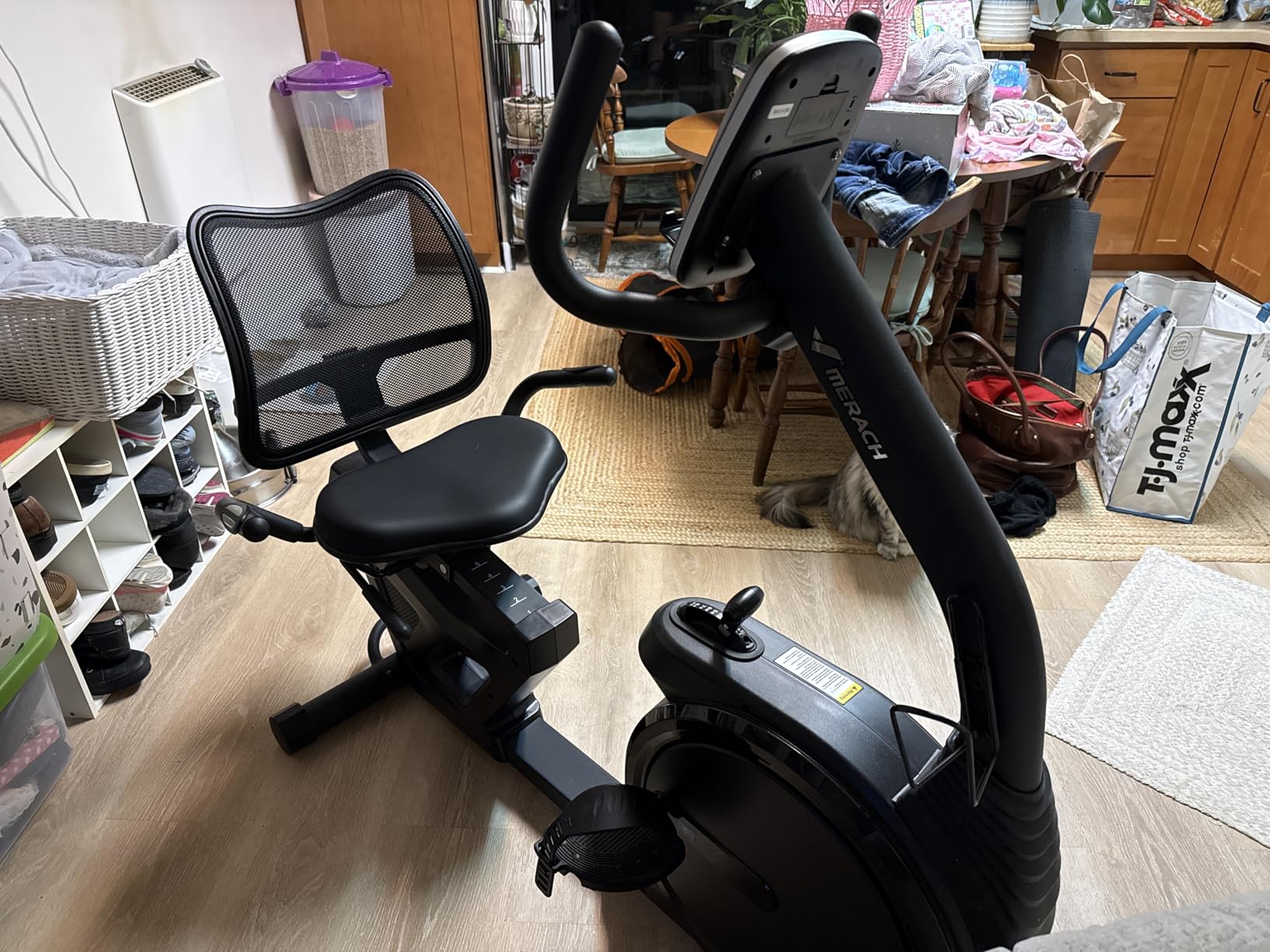 MERACH Recumbent Exercise Bikes for Home High-end | Recumbent Bike for Seniors Adults, Magnetic Recumbent Stationary Bike with Exclusive App, Heart Rate Handle, Adjustable Seat customer photo 2