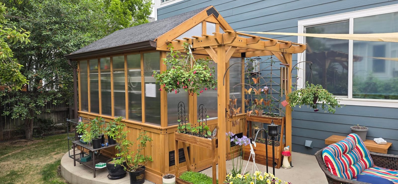 Backyard Discovery Bellerose 11' x 7' Cedar Wood and Polycarbonate Walk-In Greenhouse Kit with Pergola, Exhaust Fan, Windows, Hose Hook-Ups, PowerPort, Staging Shelves for Year-Round Outdoor Gardening customer photo 1