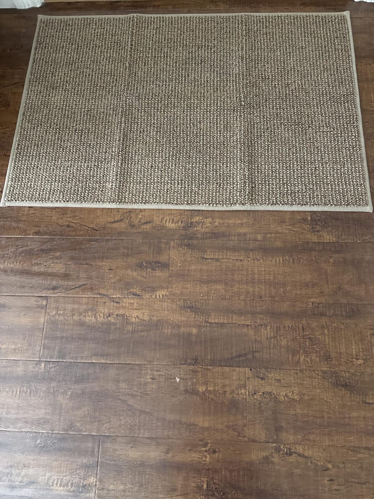 BEQHAUSE Dirt Trapper Door Mat 20