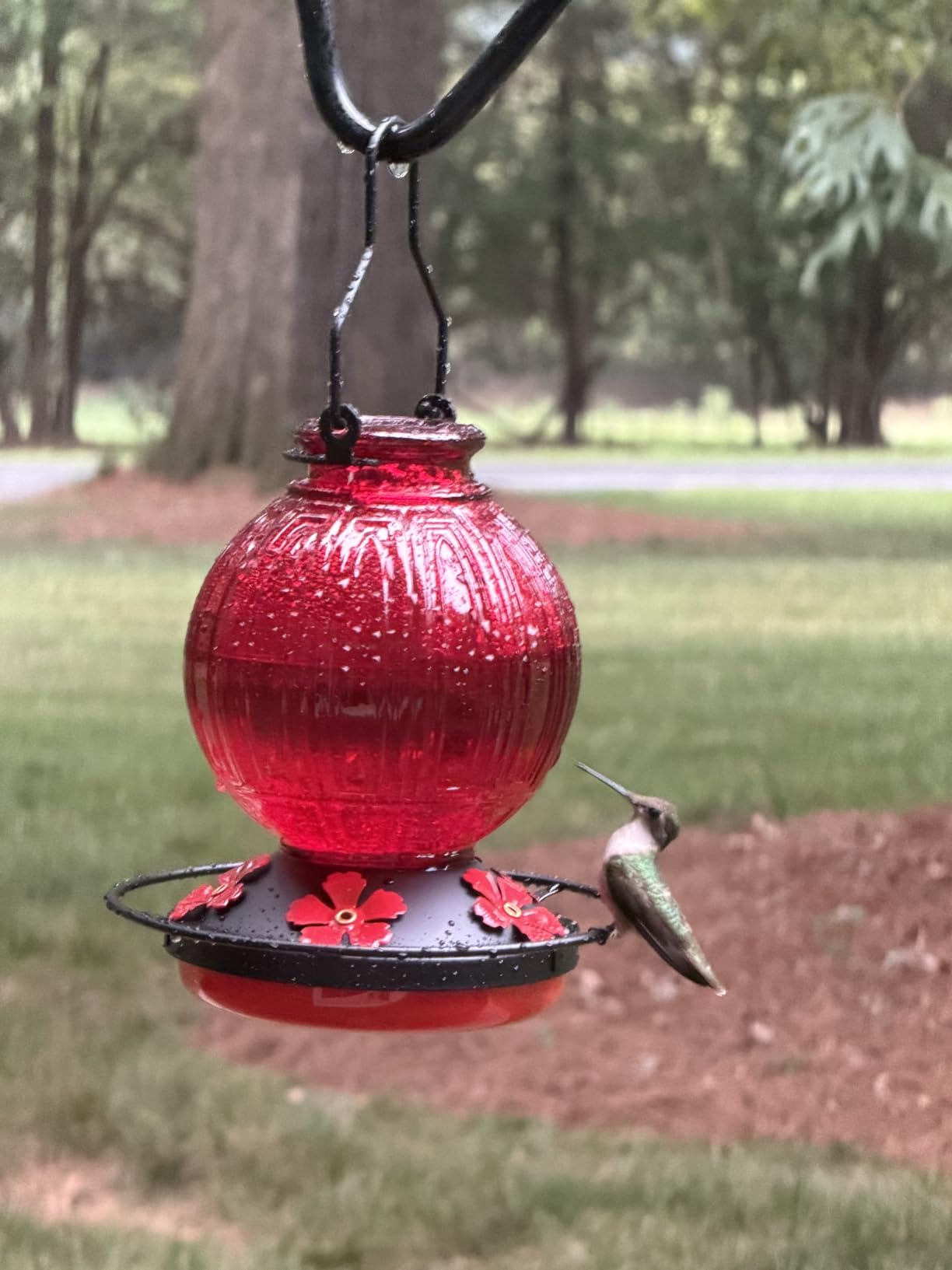 Glass Hummingbird Feeder for Outdoors Hanging, 26 fl oz Bird Nectar Feeder | 5 Metal Flower Feeding Ports, 360° Perch Ring, Easy Refill & Clean, Leakproof, Ideal for Backyard, Garden Outdoor Decor, Red customer photo 2