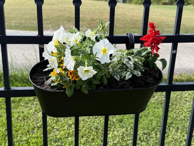 Dahey 15 Inches Railing Planter Box 3 Pcs Metal Hanging Flower Pots, Black customer photo 2